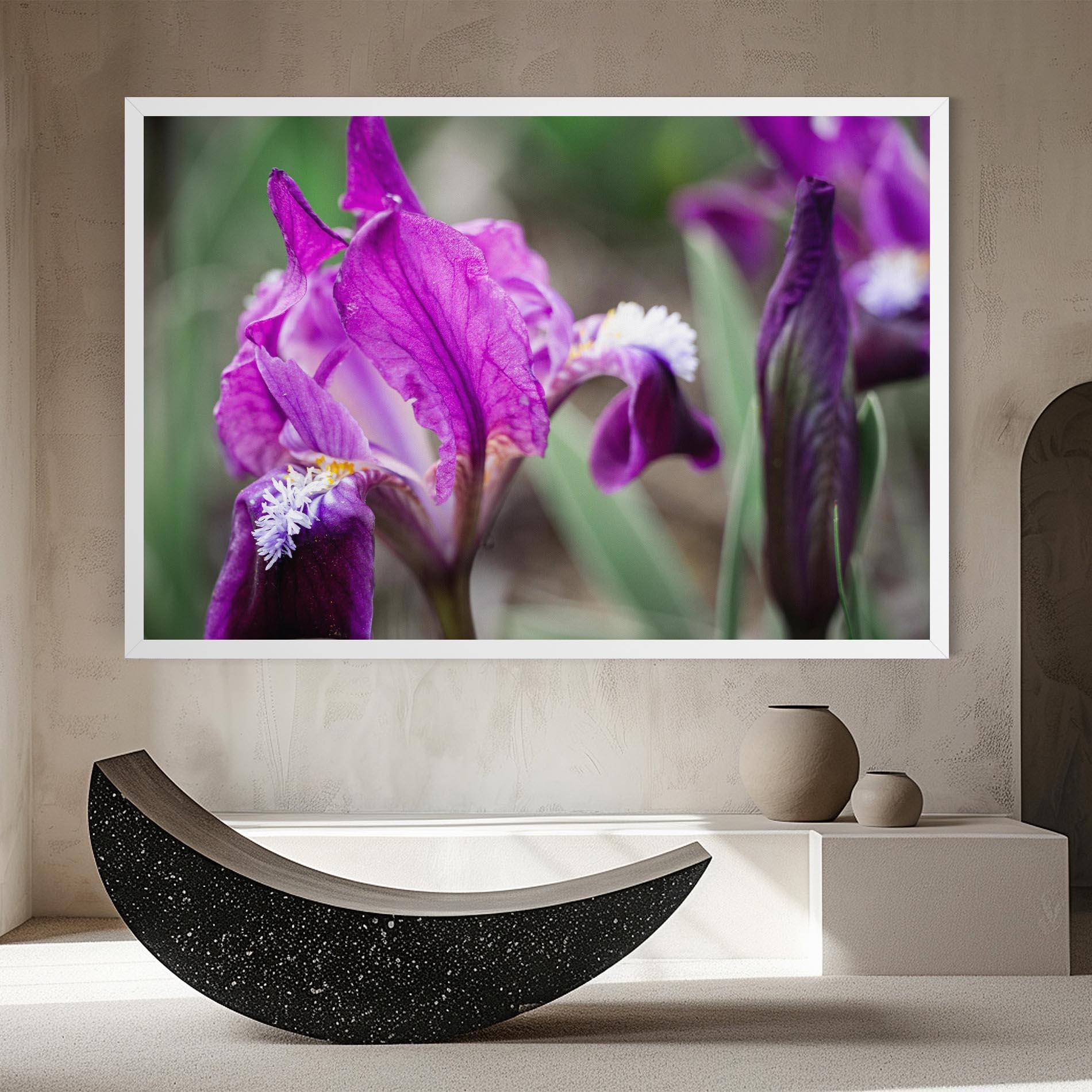 Vászonkép Dark Pink Iris mockup 8