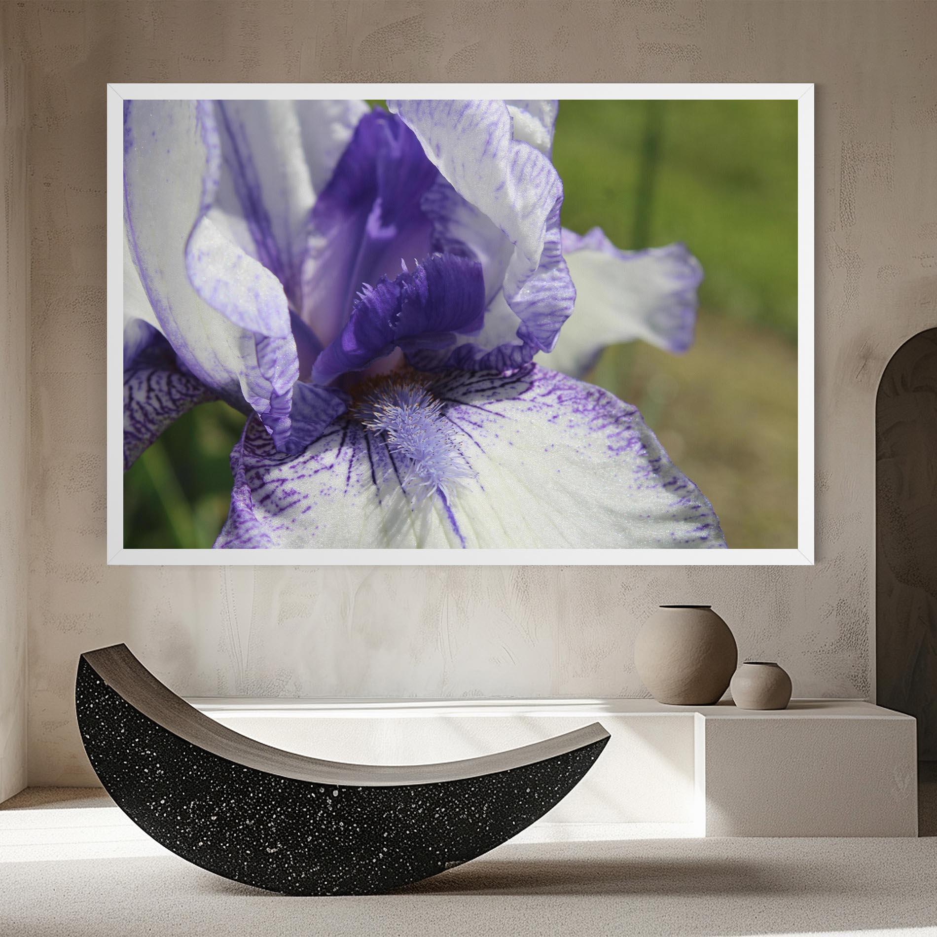 Vászonkép White Purple Iris mockup 8