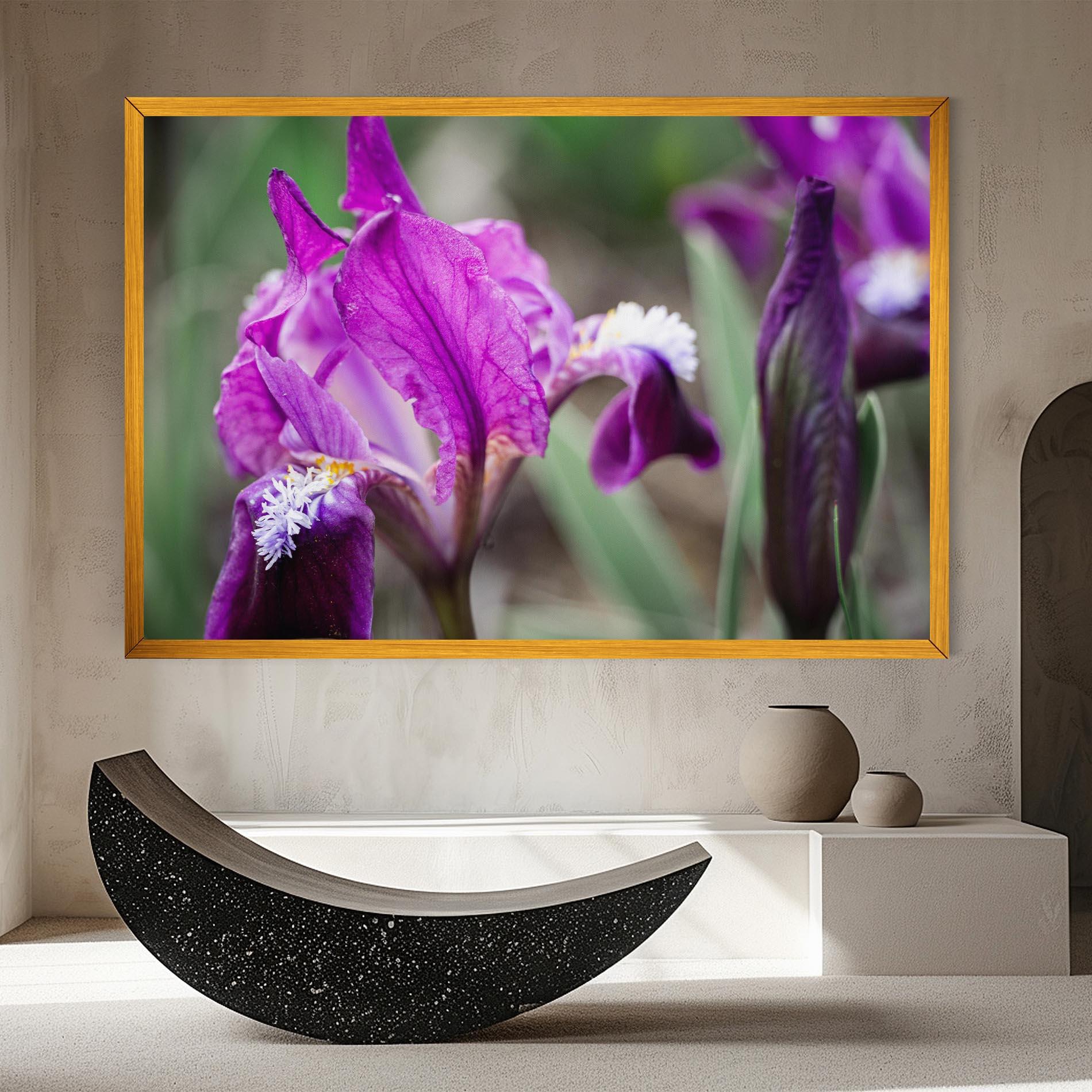 Vászonkép Dark Pink Iris mockup 8