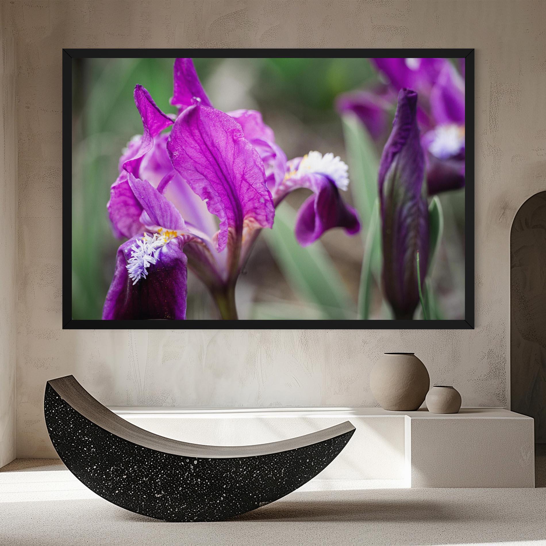 Vászonkép Dark Pink Iris mockup 8