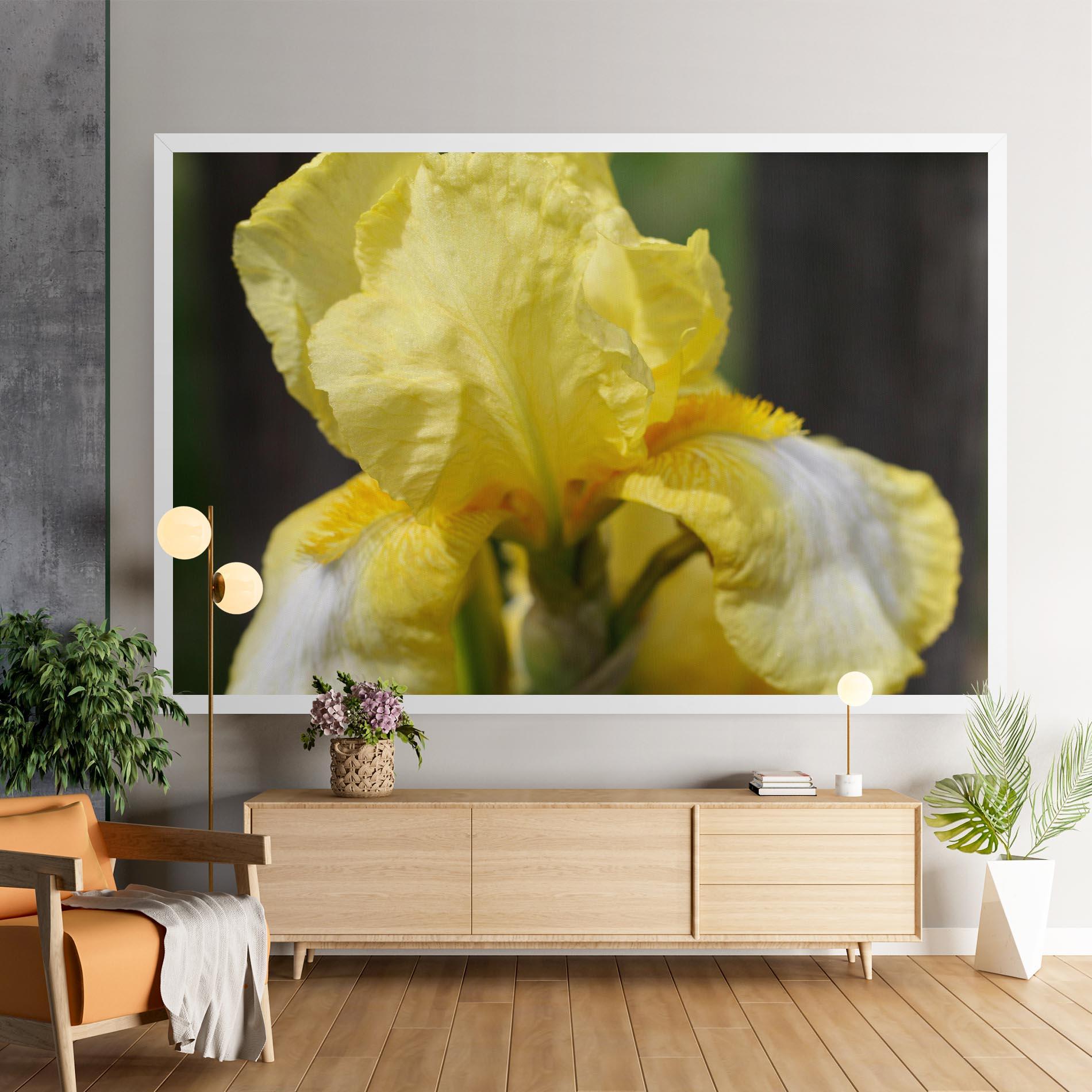 Vászonkép Garden Yellow Iris mockup 9