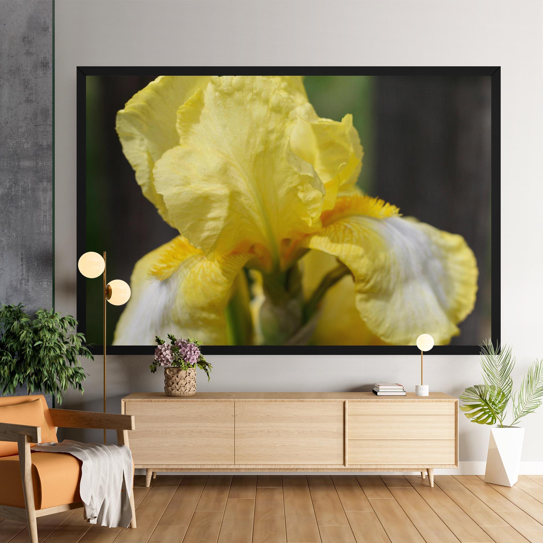 Vászonkép Garden Yellow Iris mockup 9