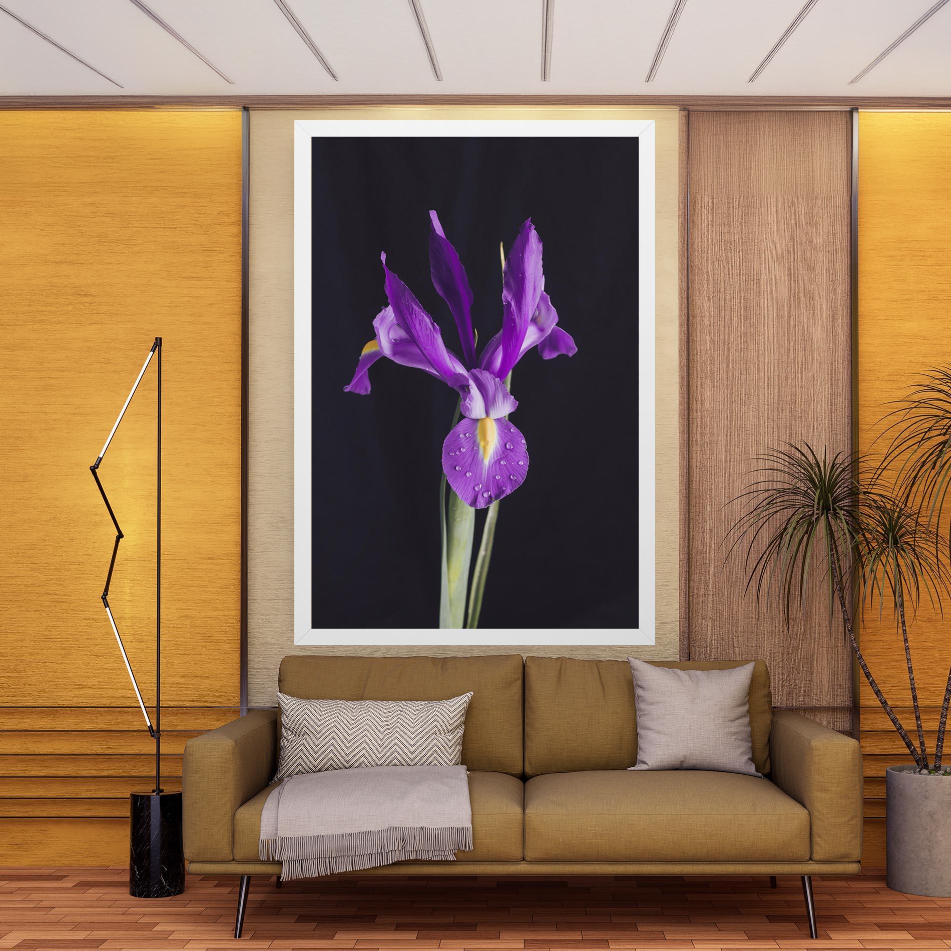 Vászonkép Fresh Purple Iris mockup 9