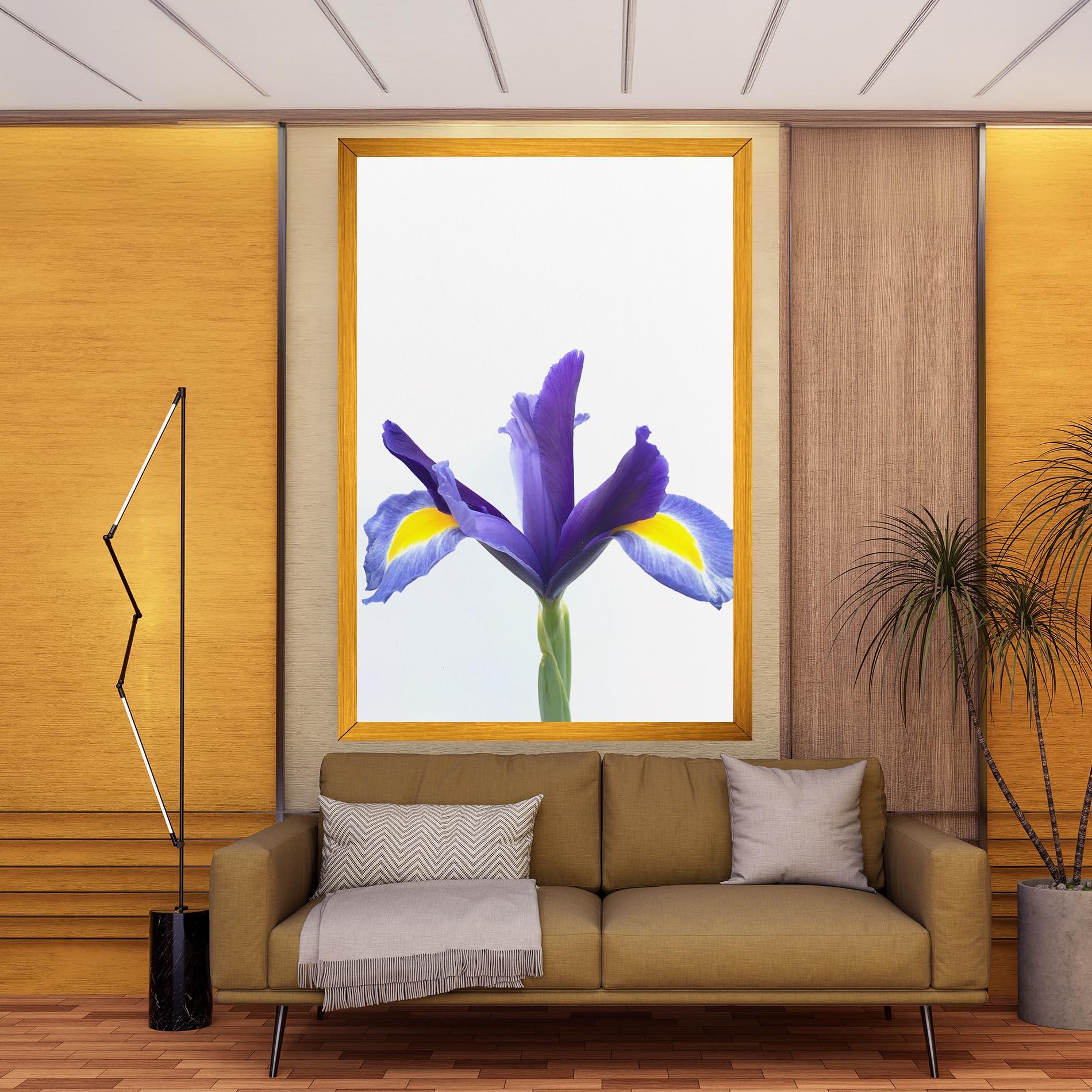 Vászonkép Yellow Color Iris mockup 9