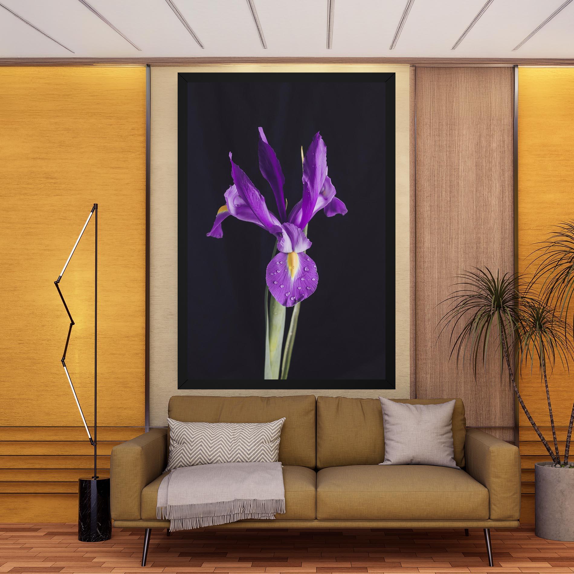Vászonkép Fresh Purple Iris mockup 9