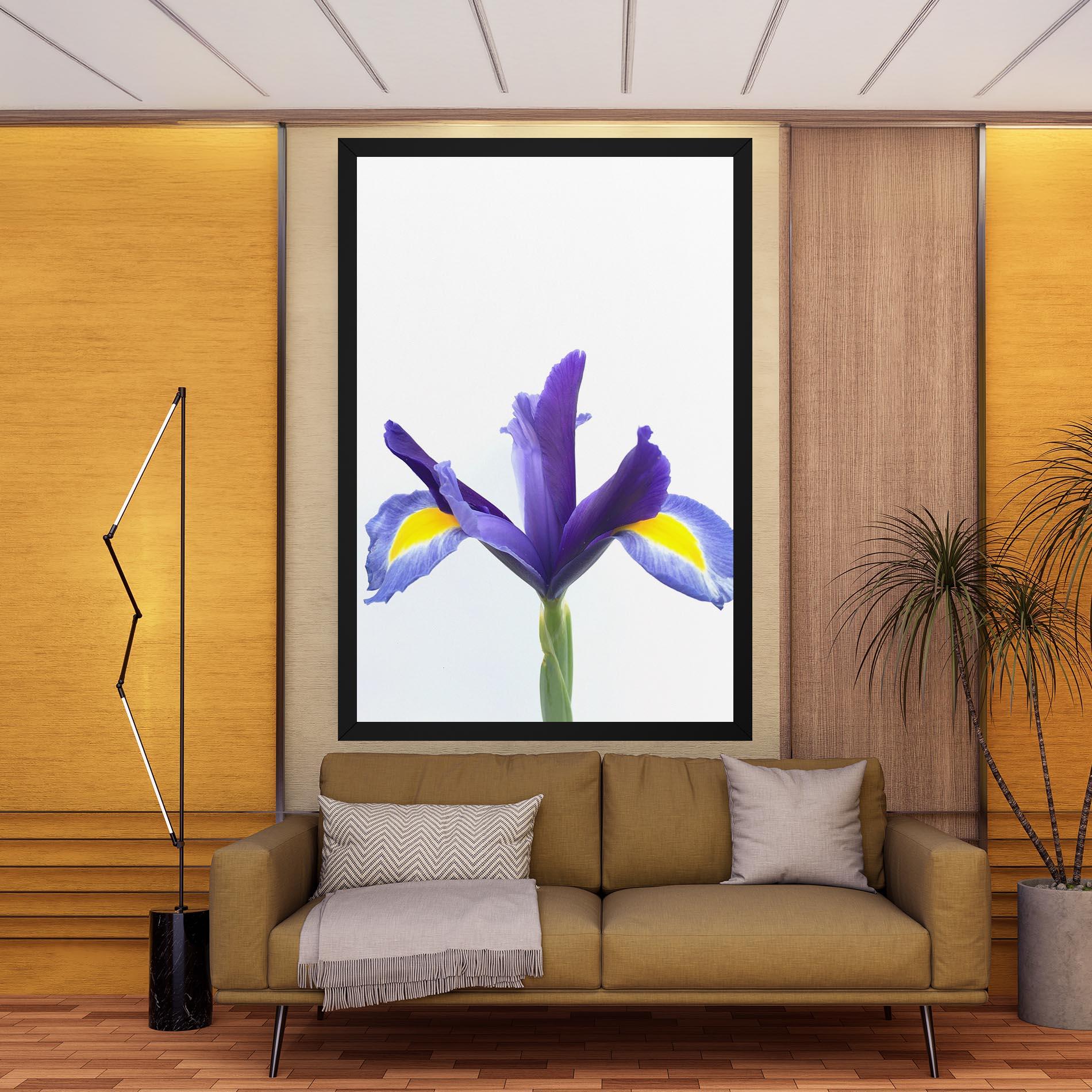 Vászonkép Yellow Color Iris mockup 9