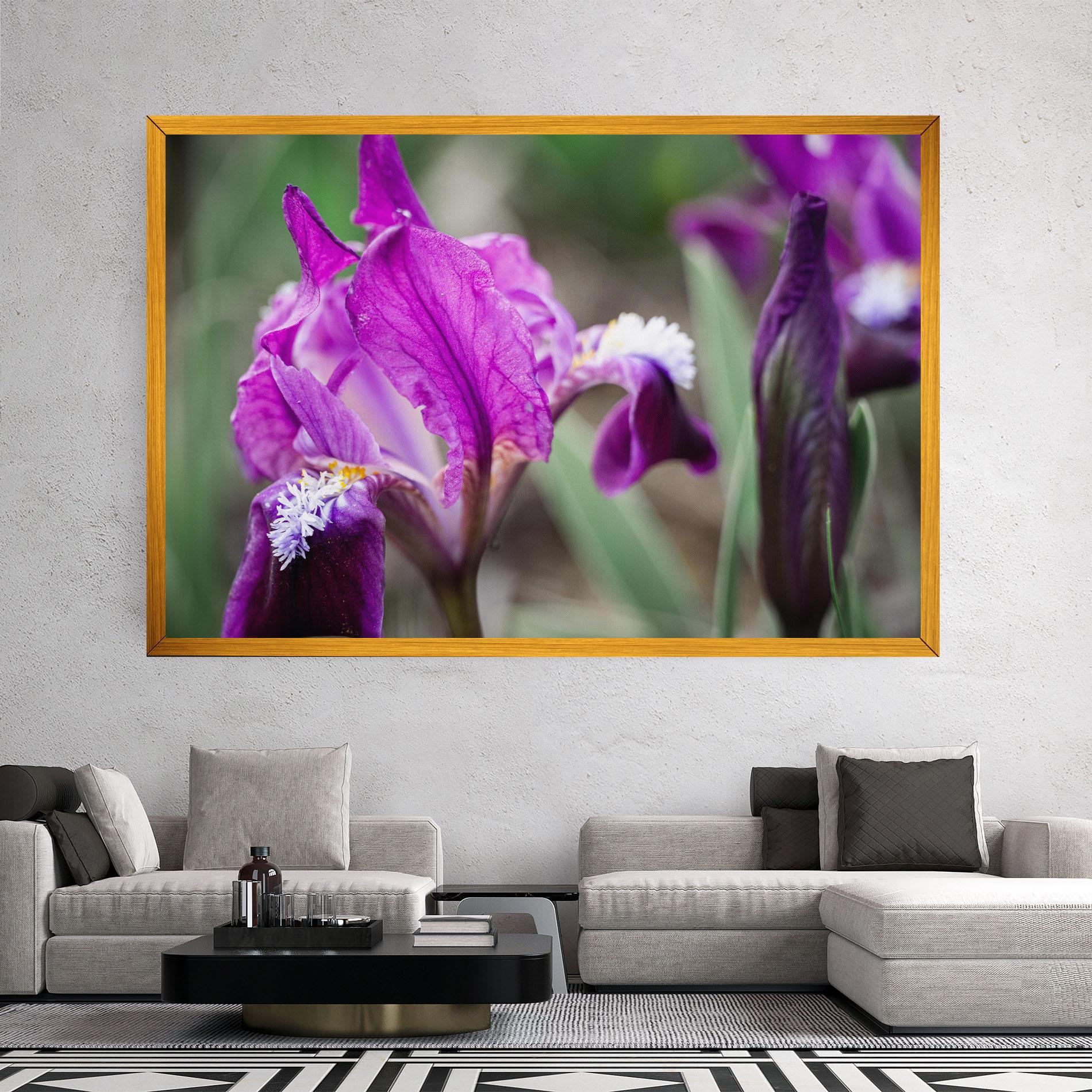 Vászonkép Dark Pink Iris mockup 2