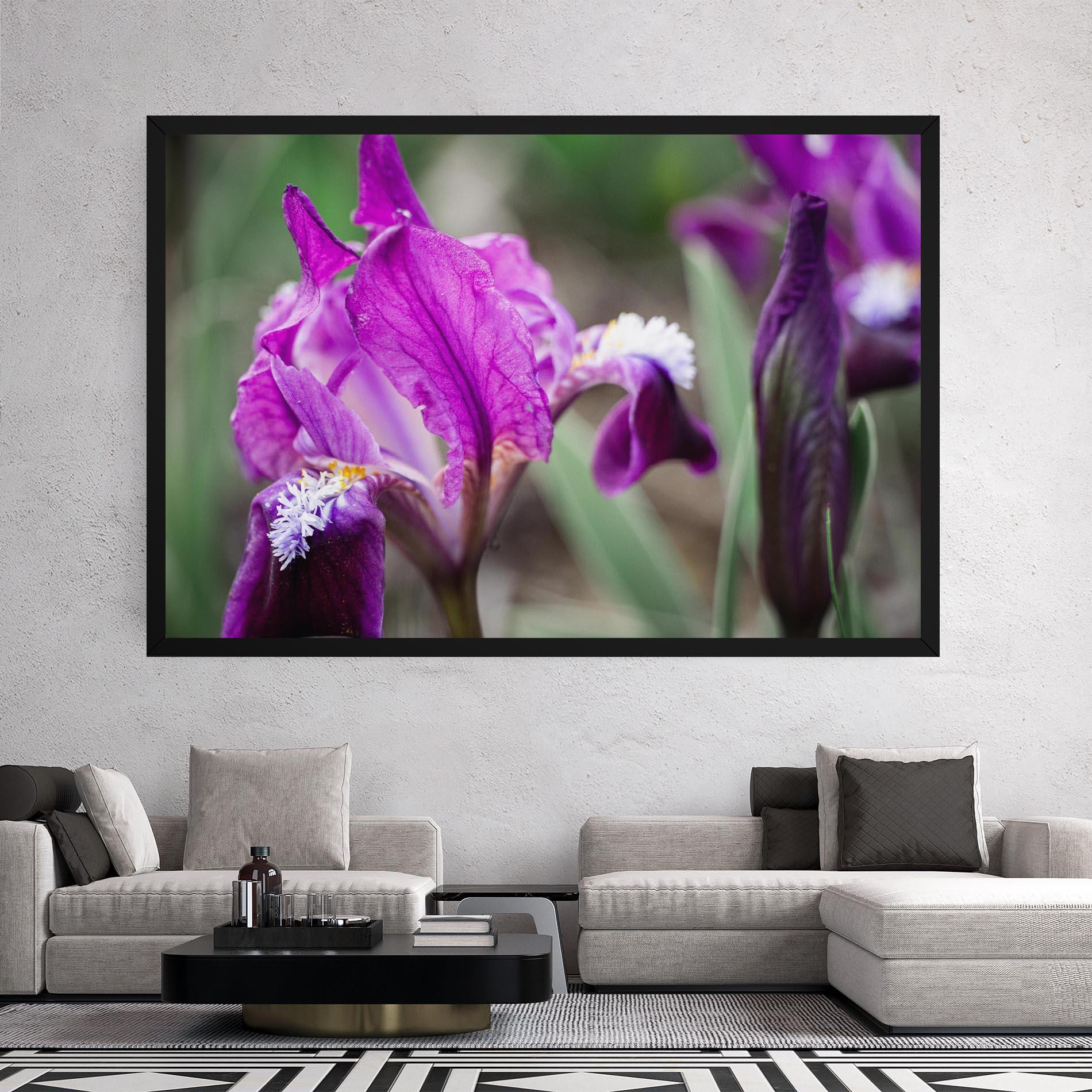 Vászonkép Dark Pink Iris mockup 2