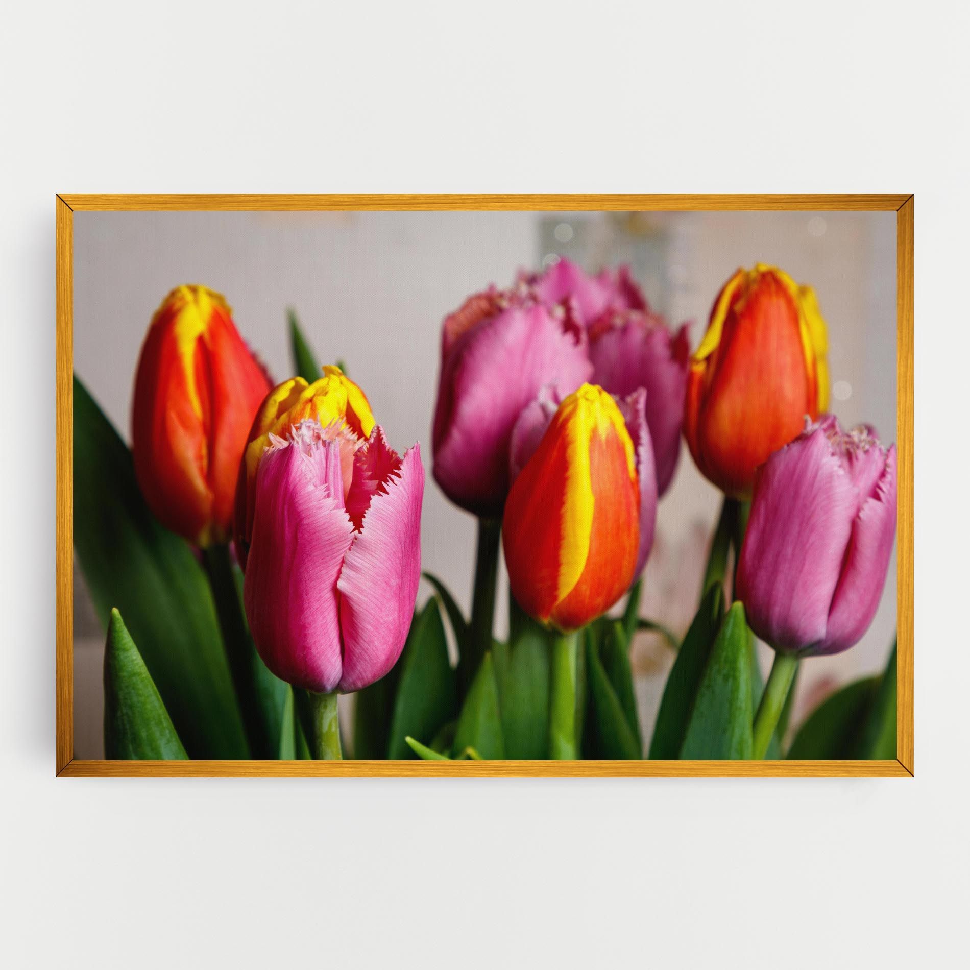 Pink Orange Tulips mockup 0