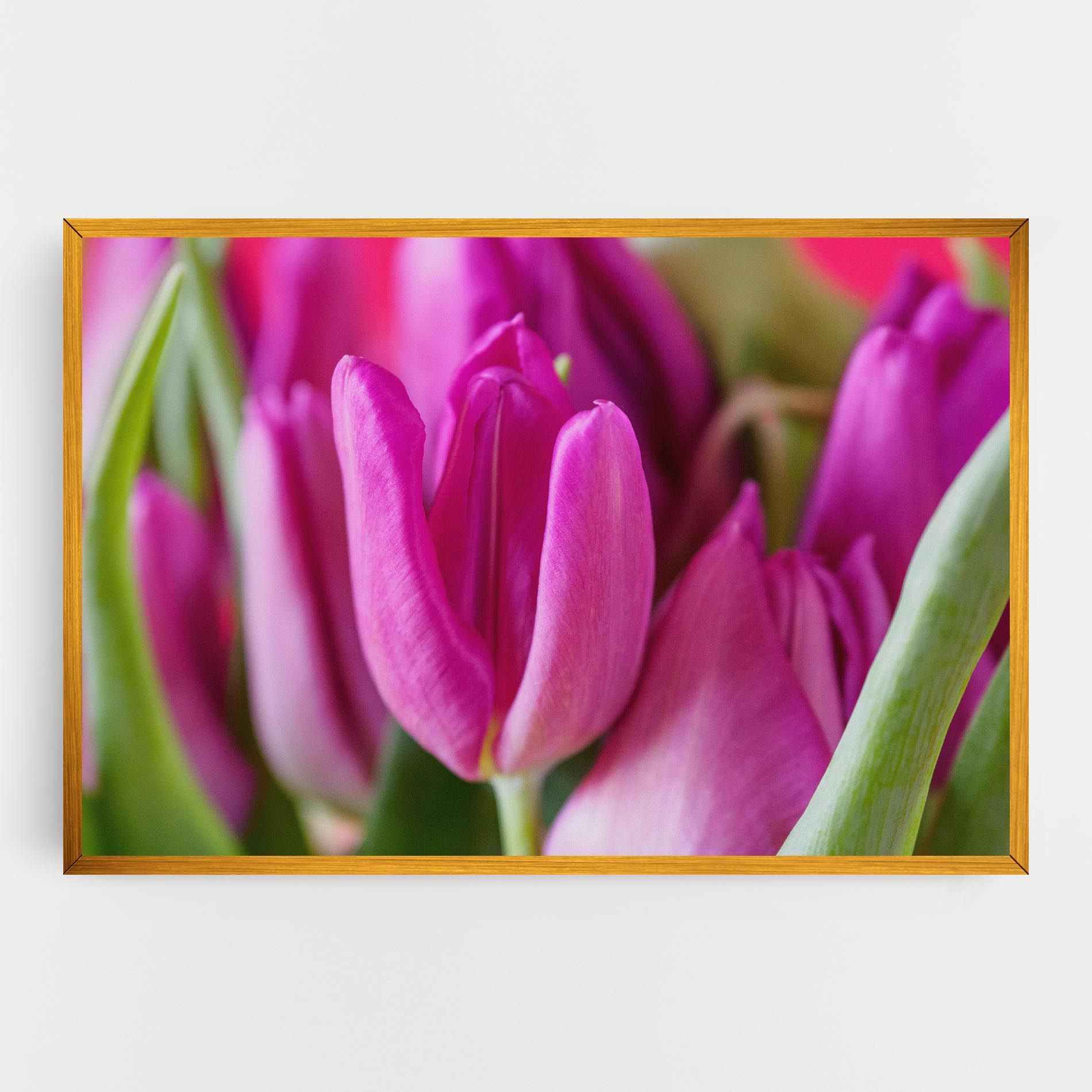 Purple Tulip Close Up mockup 0