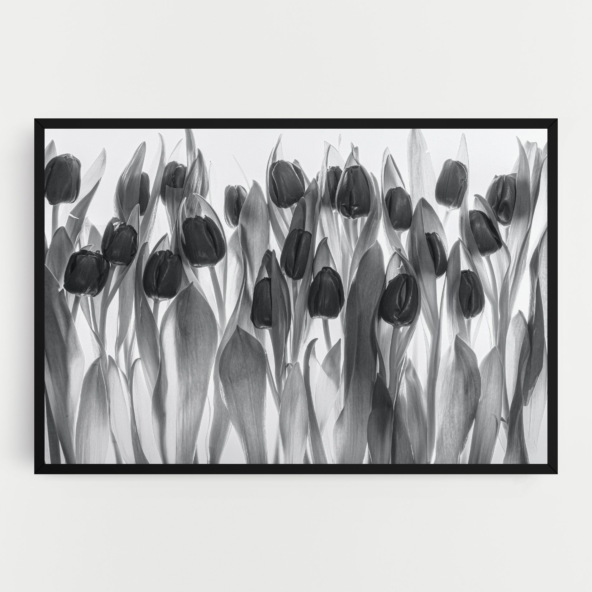 Grey Tulips mockup 0