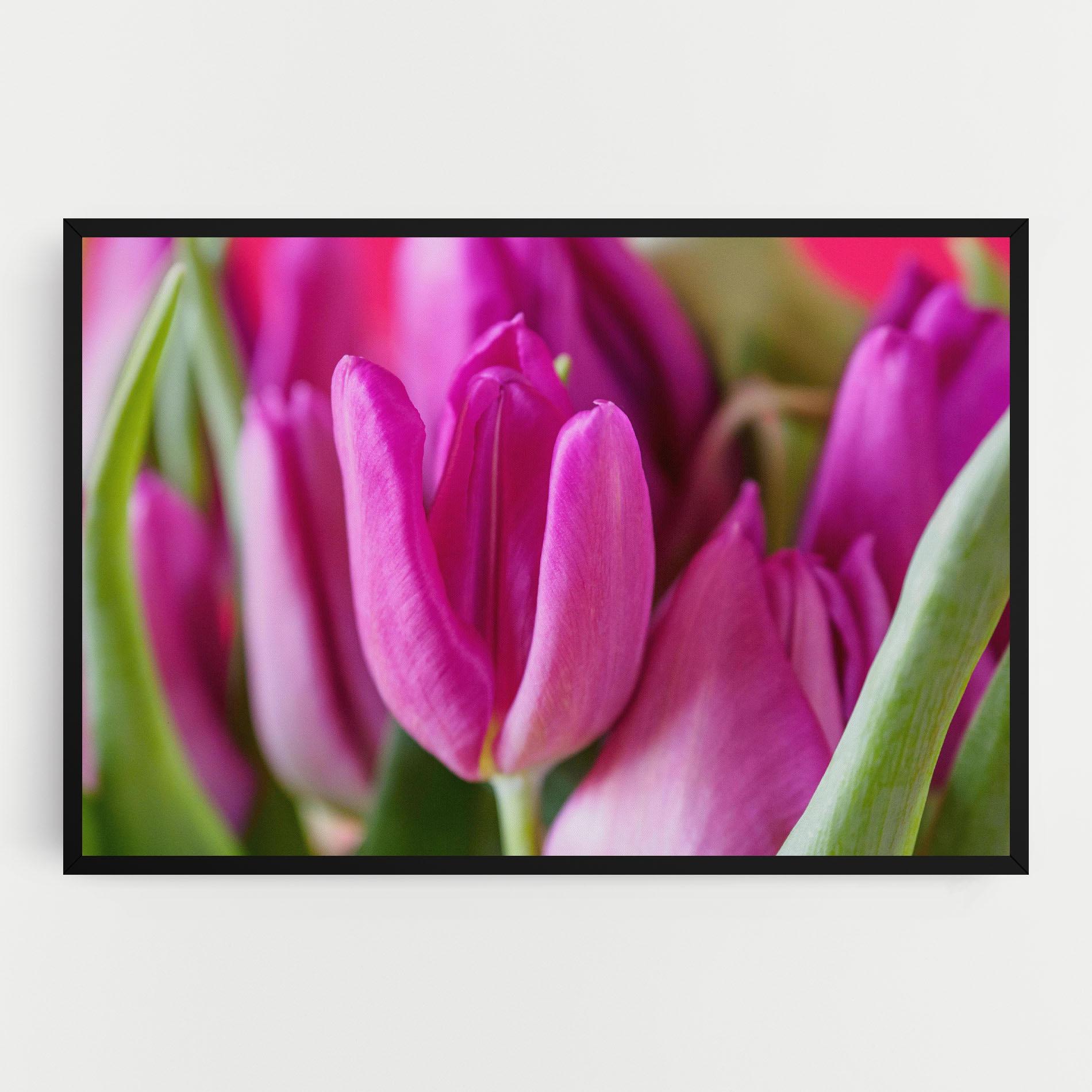Vászonkép Purple Tulip Close Up mockup 0