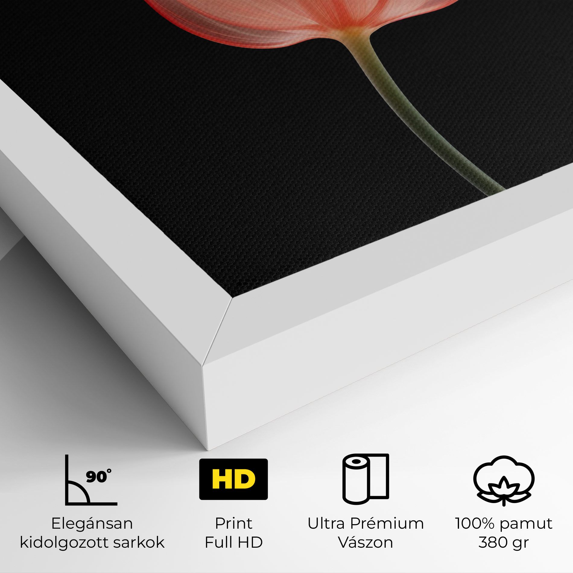 Pastel Pink Tulip mockup 4