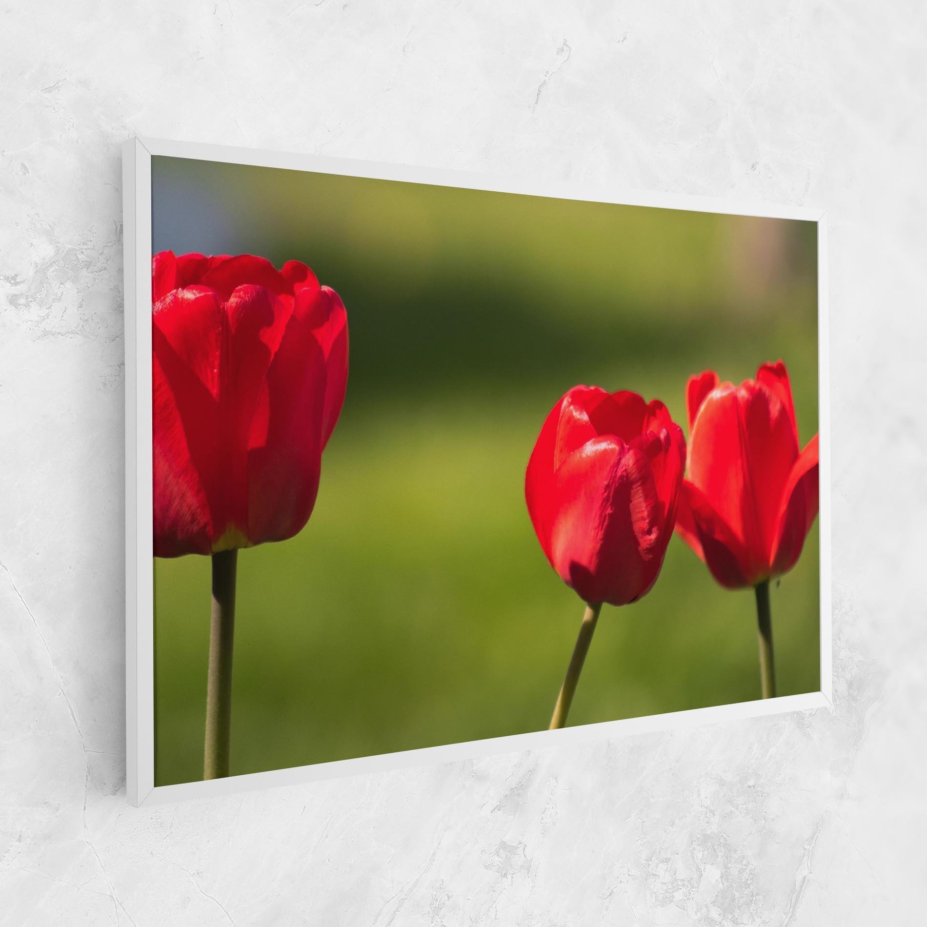 Vászonkép 3 Red Tulips mockup 1