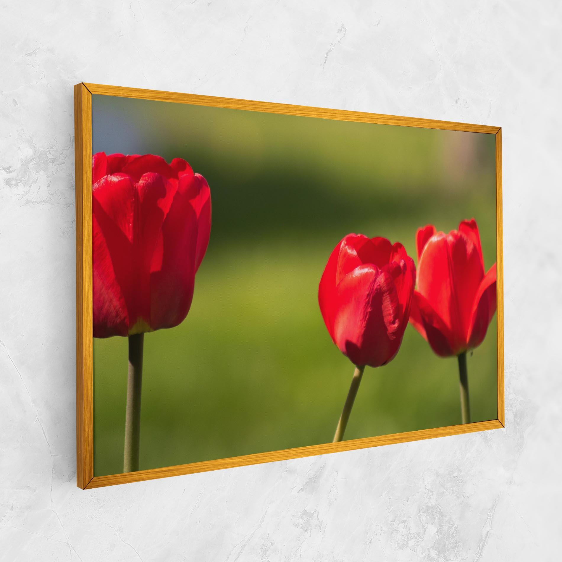 Vászonkép 3 Red Tulips mockup 1