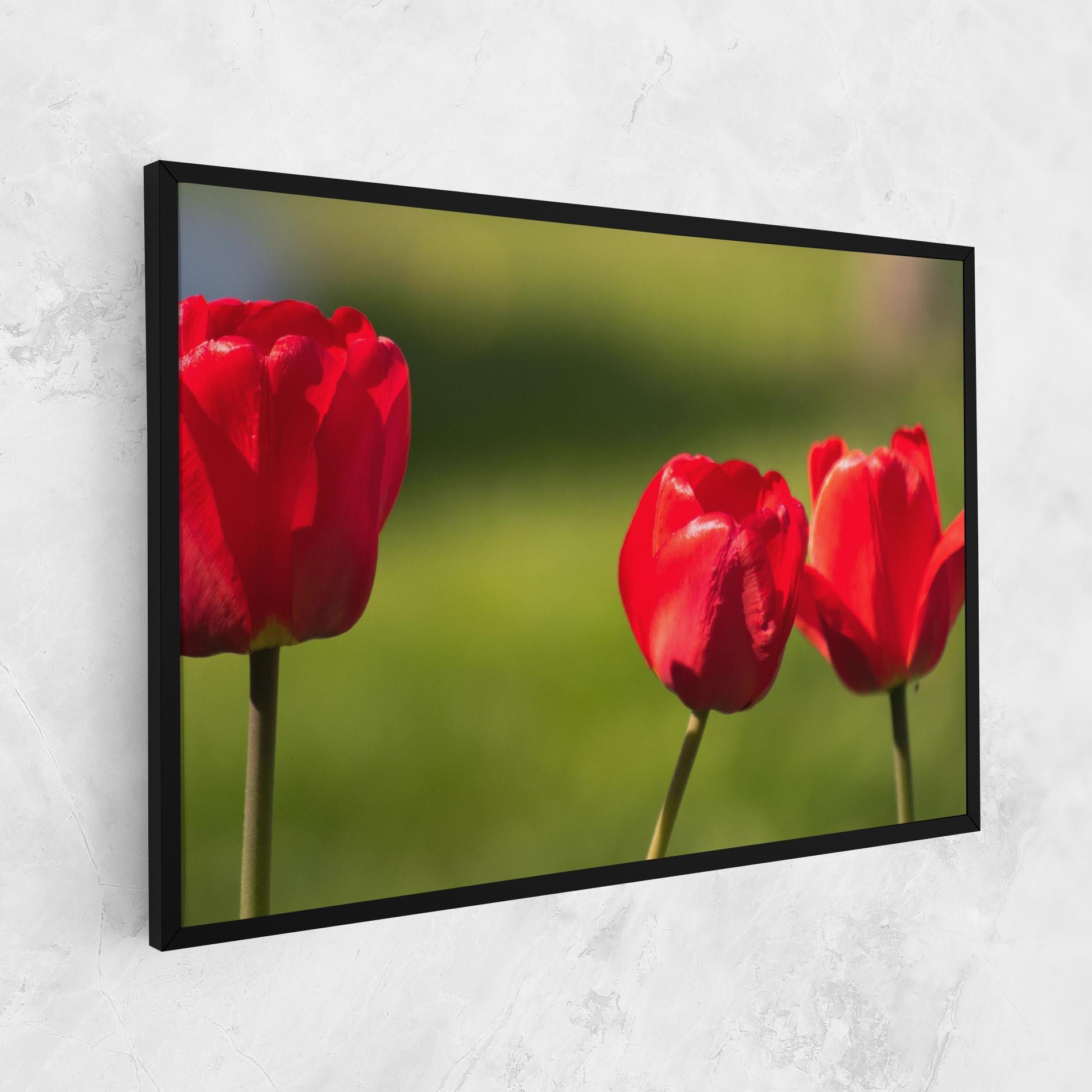 Vászonkép 3 Red Tulips mockup 1
