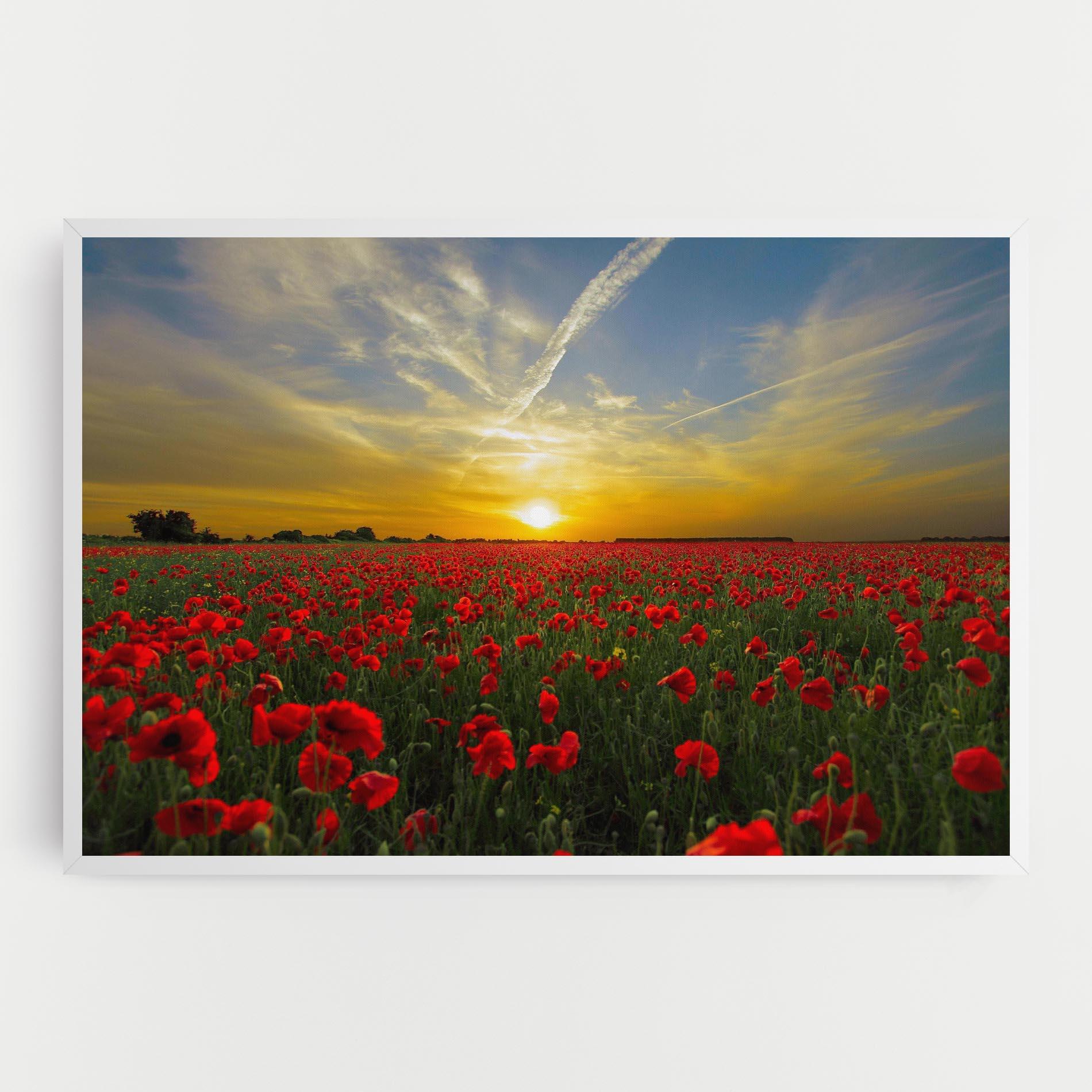 Vászonkép Poppies Sunset mockup 0