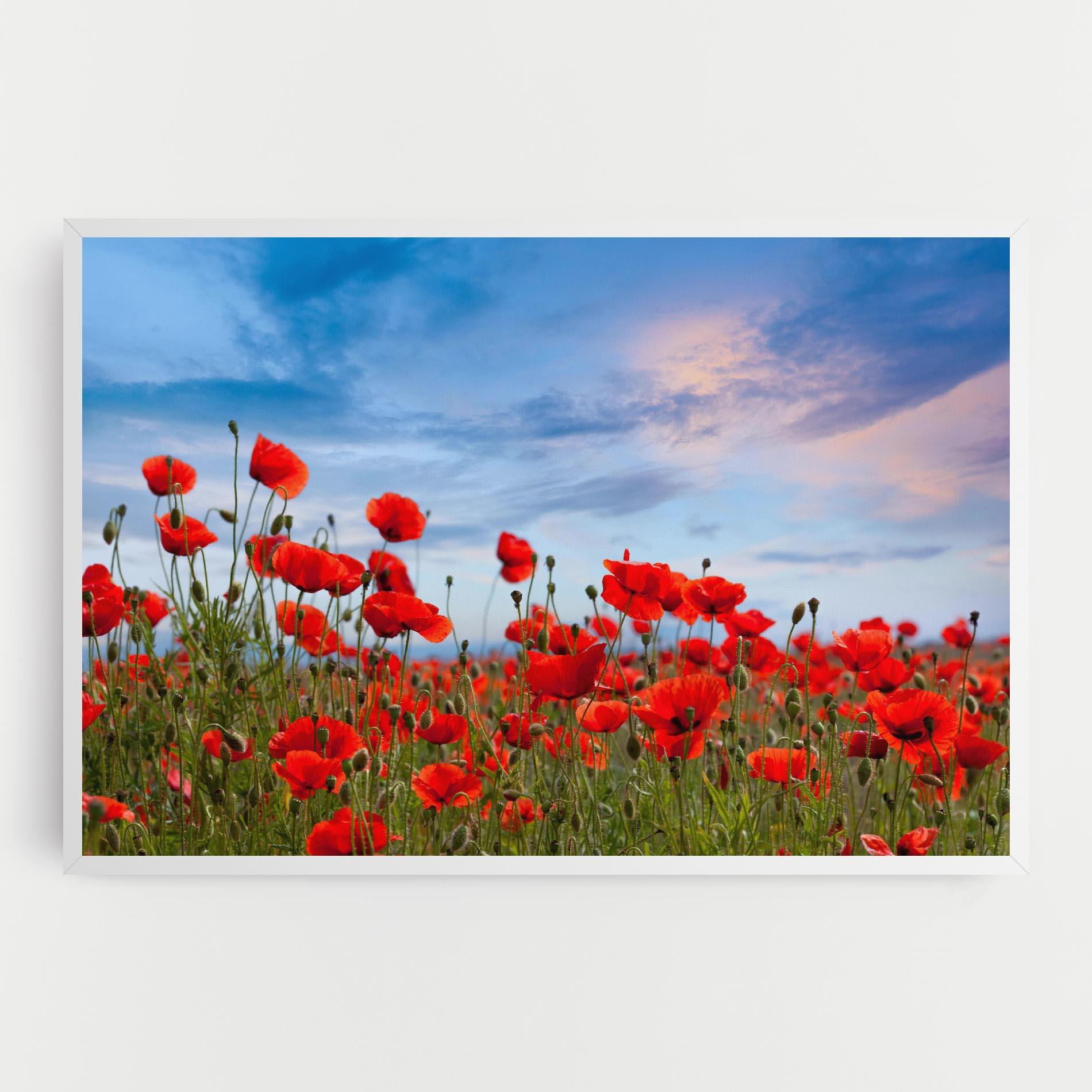 Vászonkép Poppy Field mockup 0