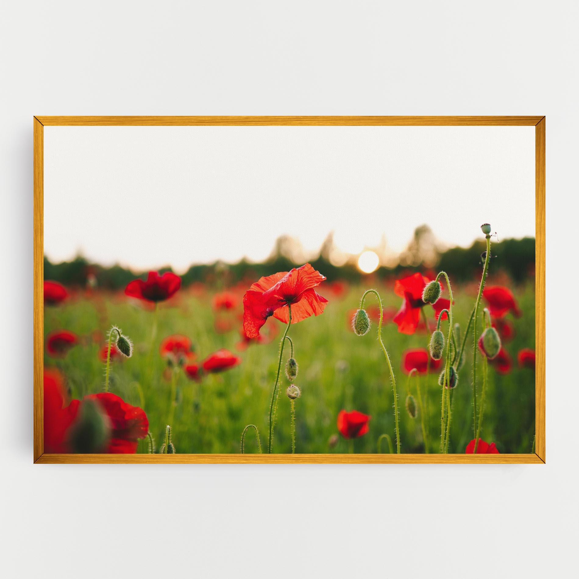 Vászonkép Poppies Field mockup 0