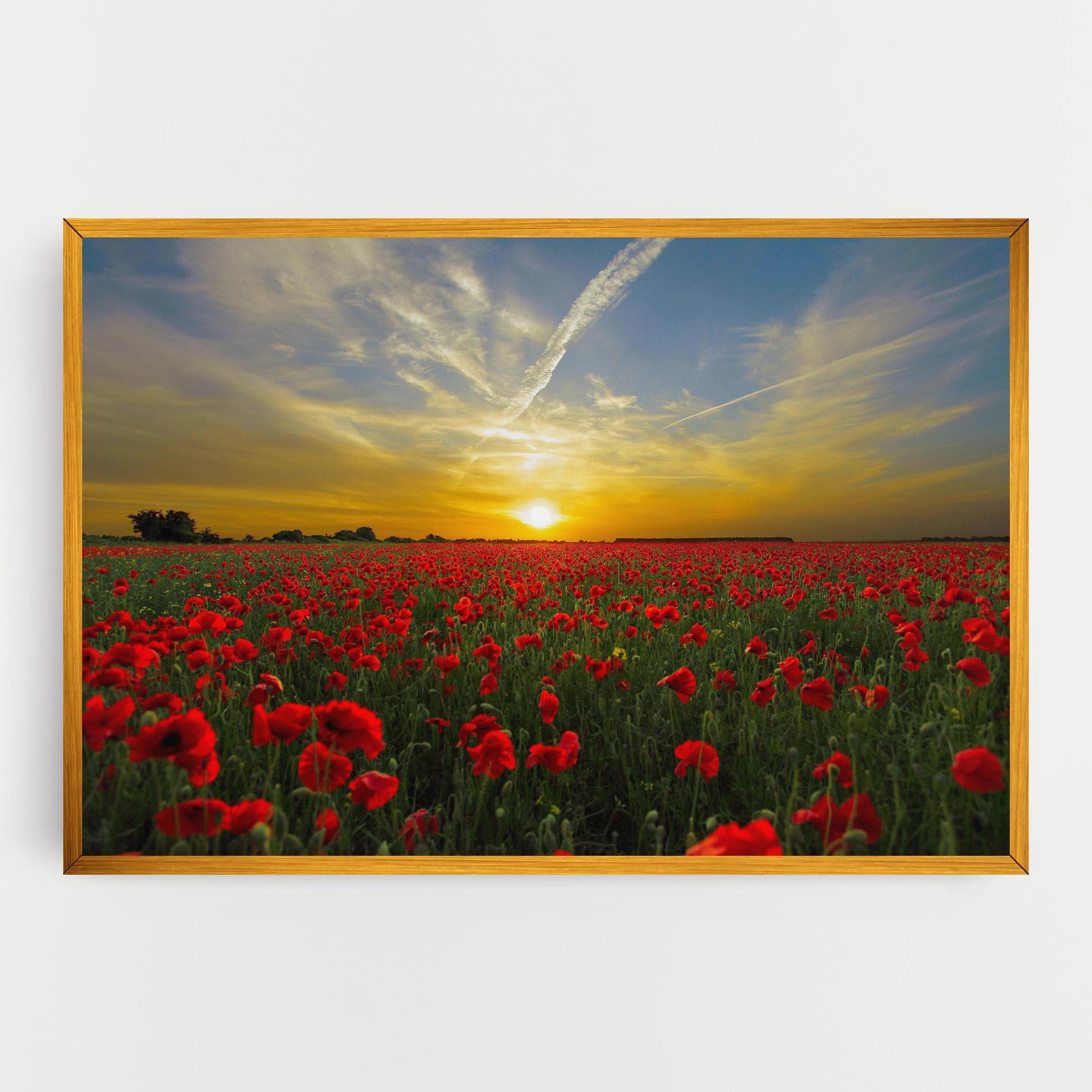 Vászonkép Poppies Sunset mockup 0
