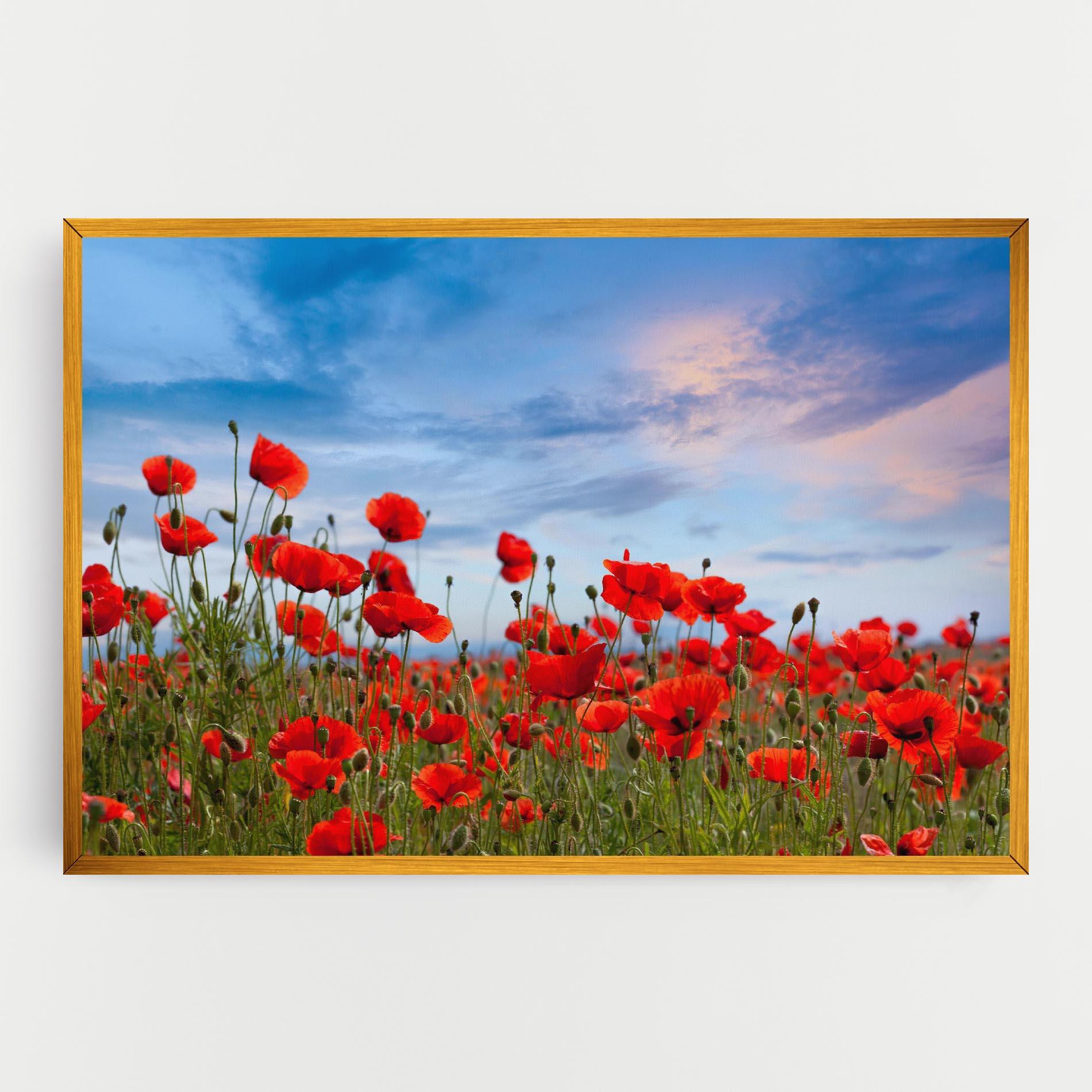 Vászonkép Poppy Field mockup 0