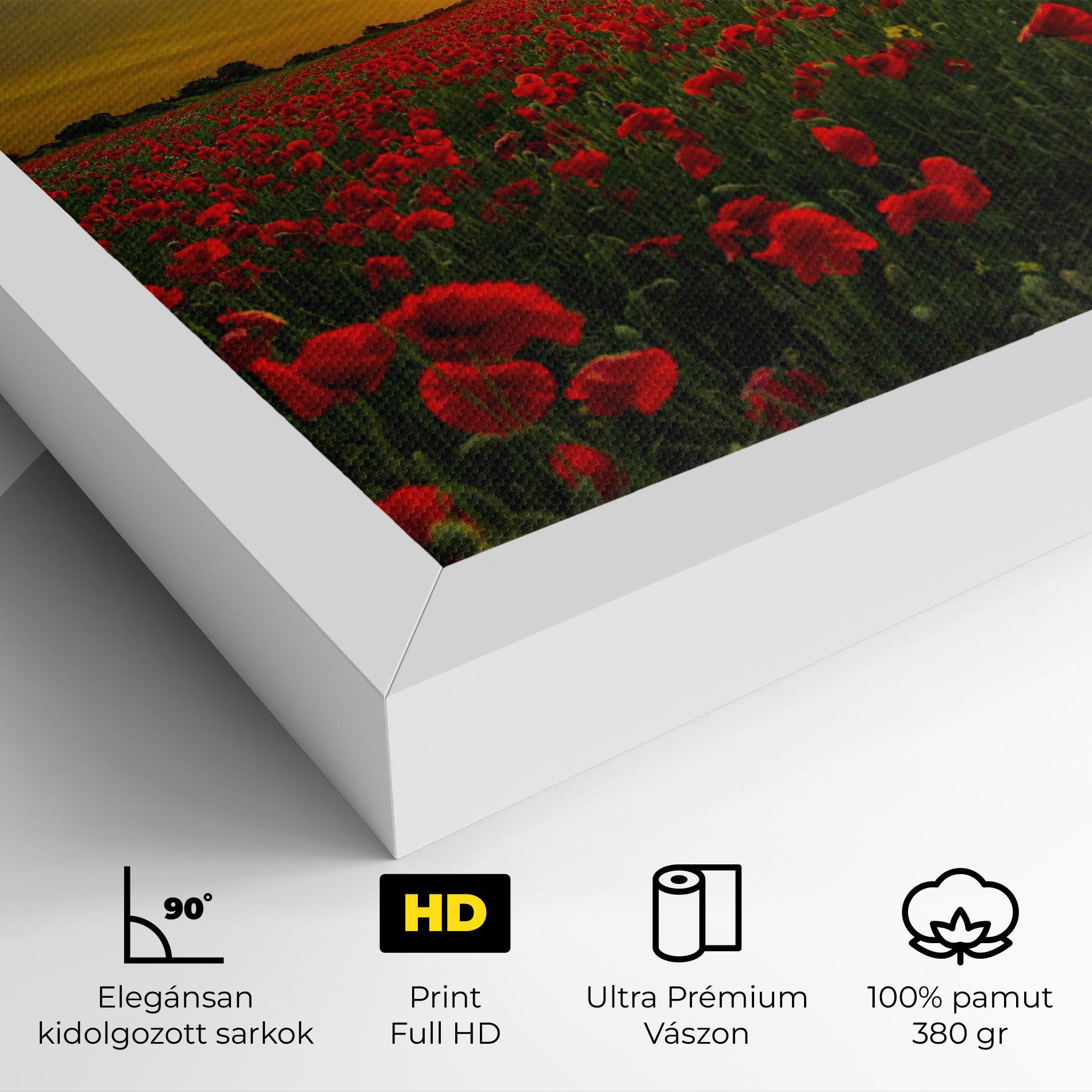 Vászonkép Poppies Sunset mockup 4