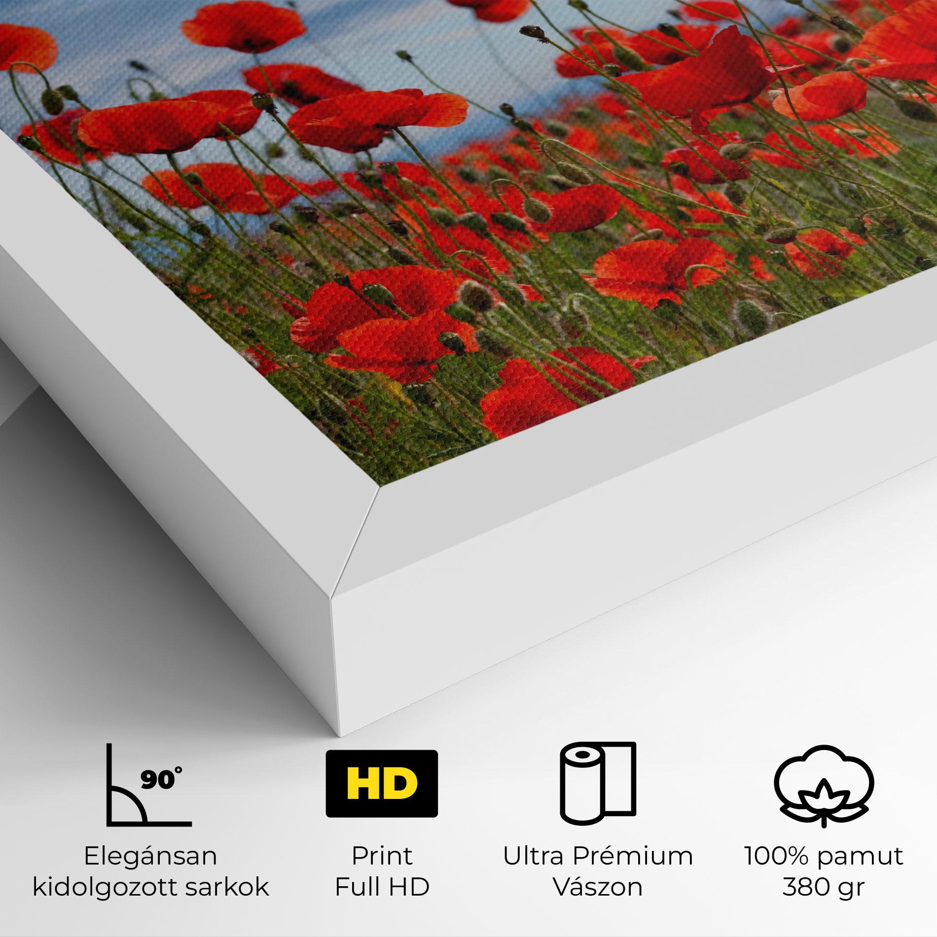 Vászonkép Poppy Field mockup 4