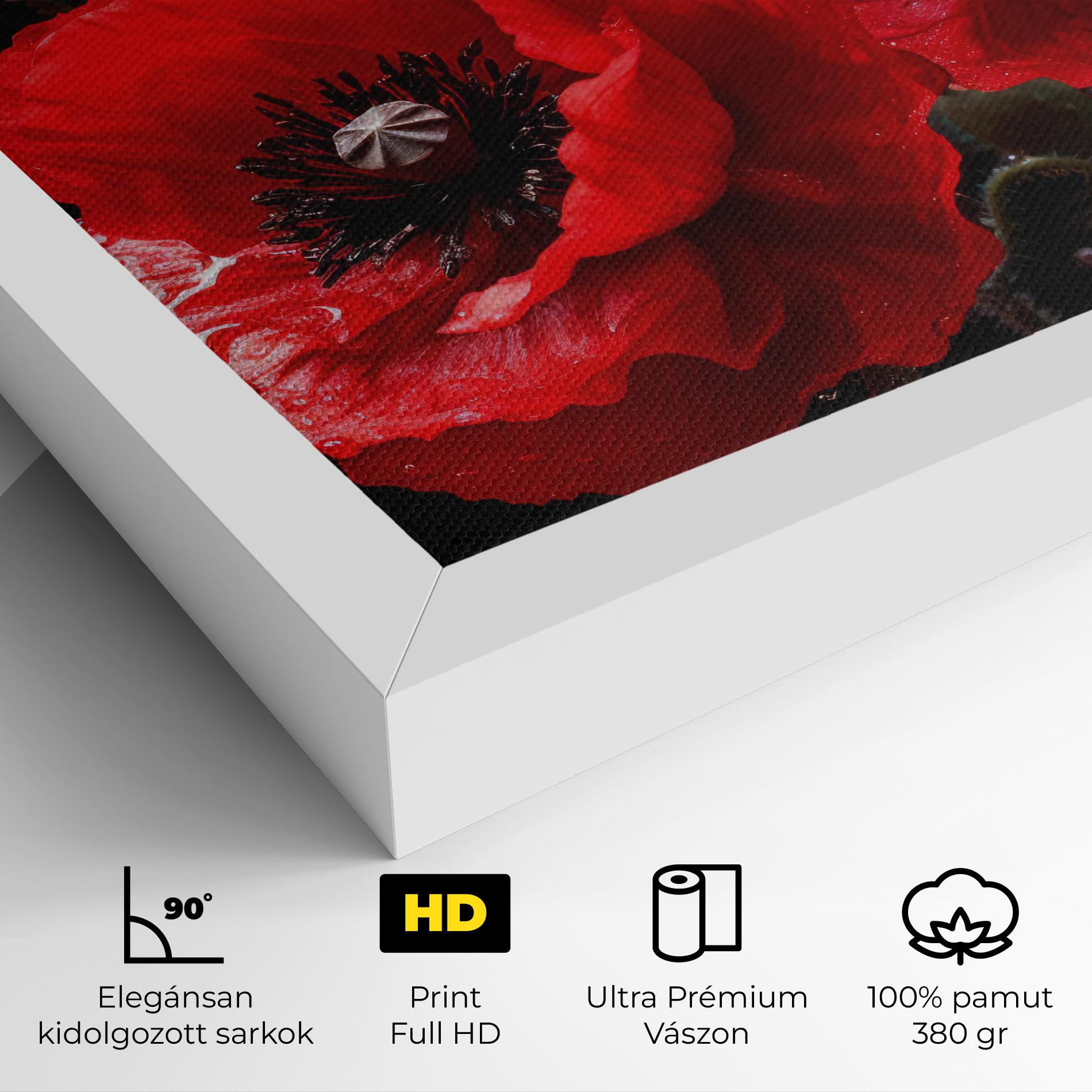 Vászonkép Red Poppy mockup 4