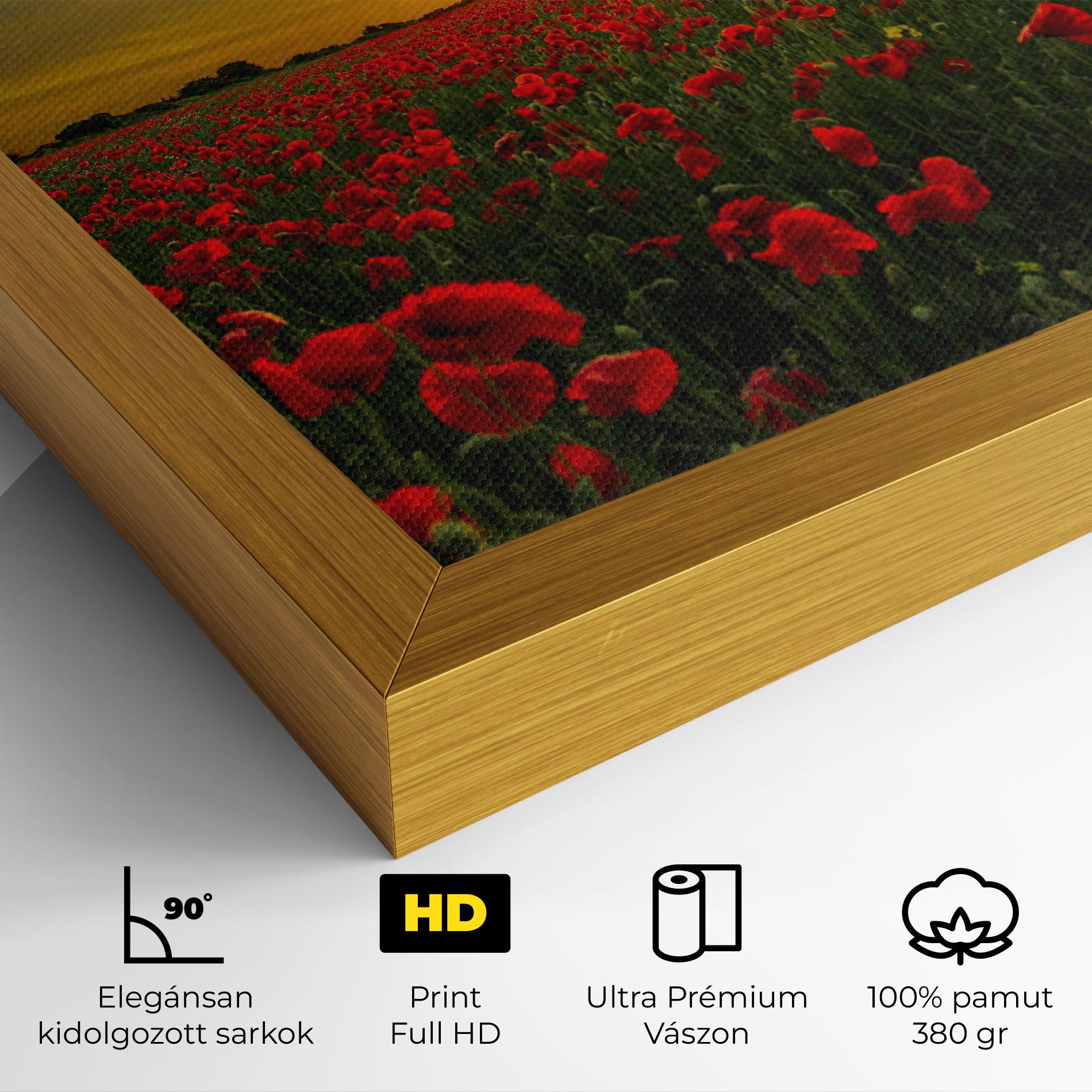Vászonkép Poppies Sunset mockup 4