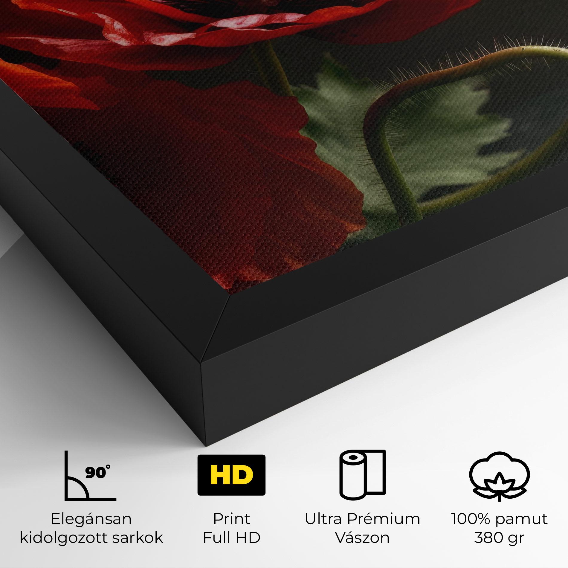 Vászonkép 3 Pretty Poppies mockup 4