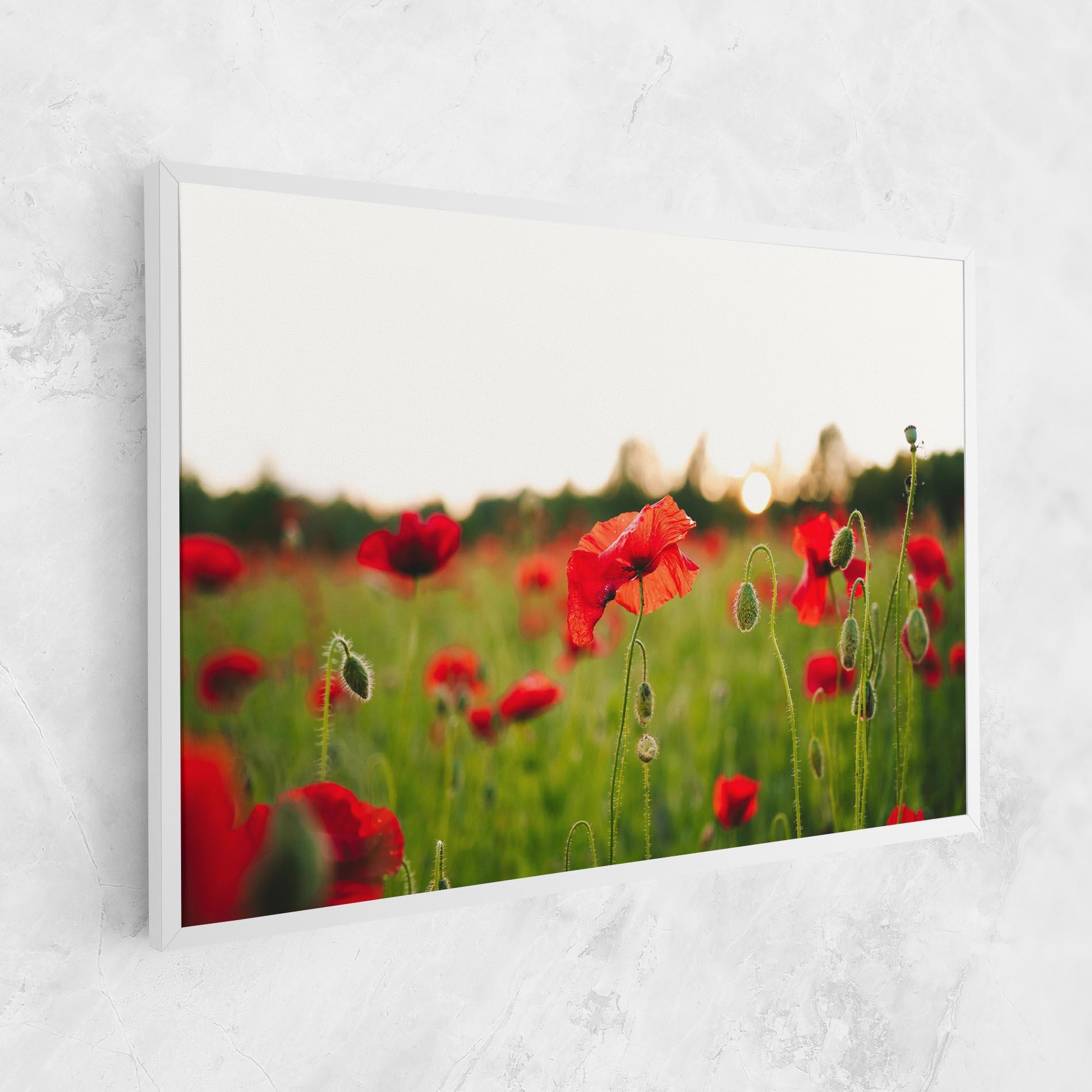 Vászonkép Poppies Field mockup 1