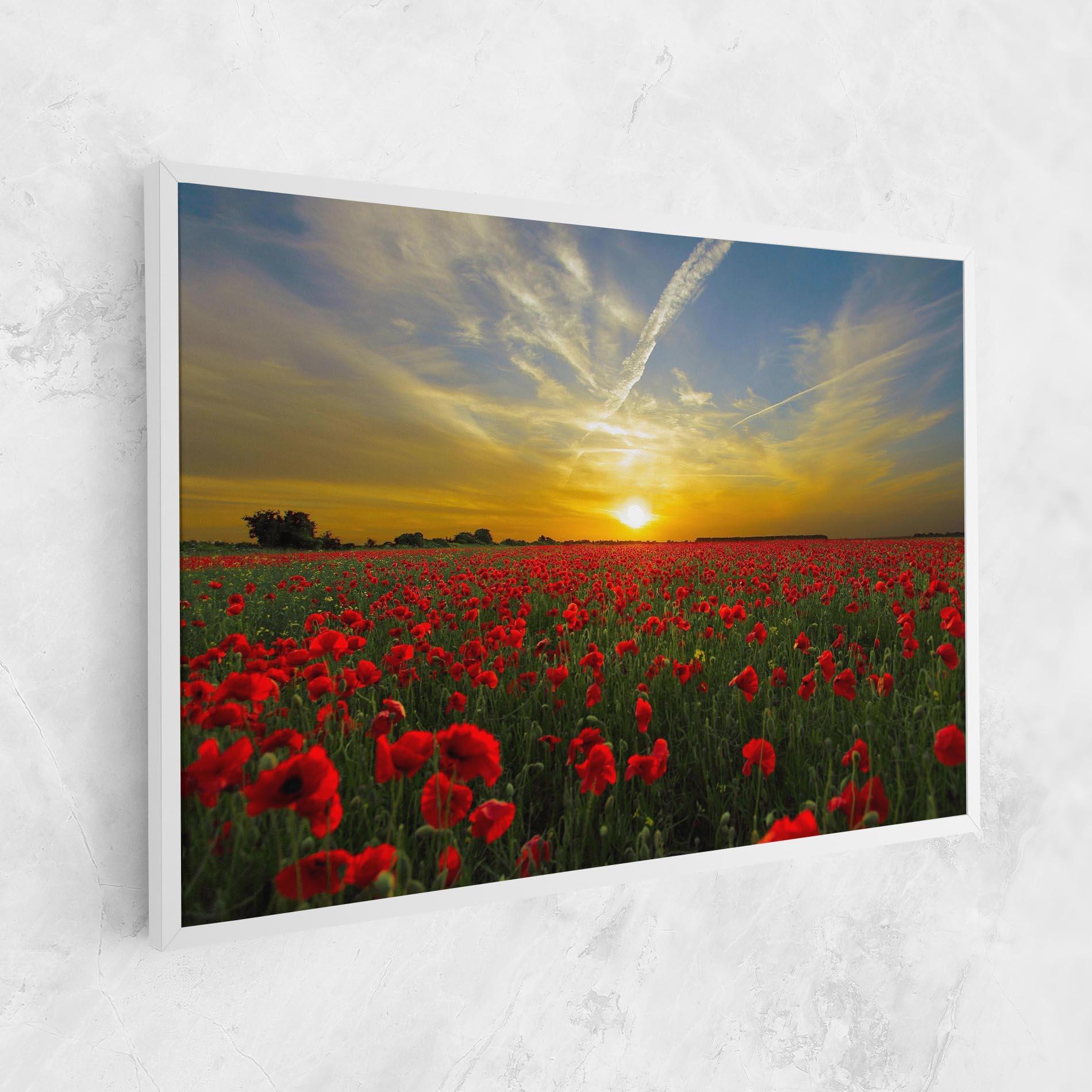 Vászonkép Poppies Sunset mockup 1