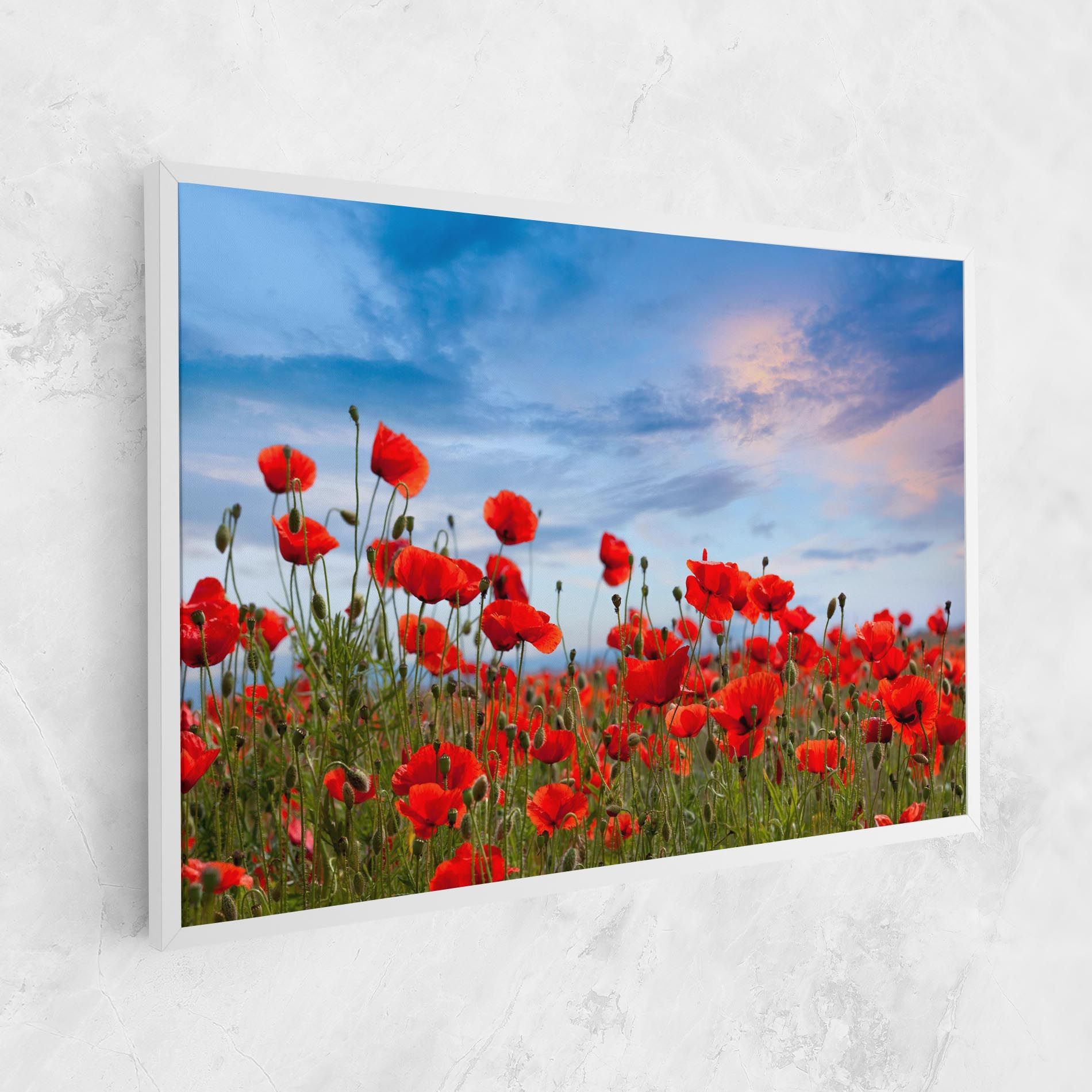 Poppy Field mockup 1
