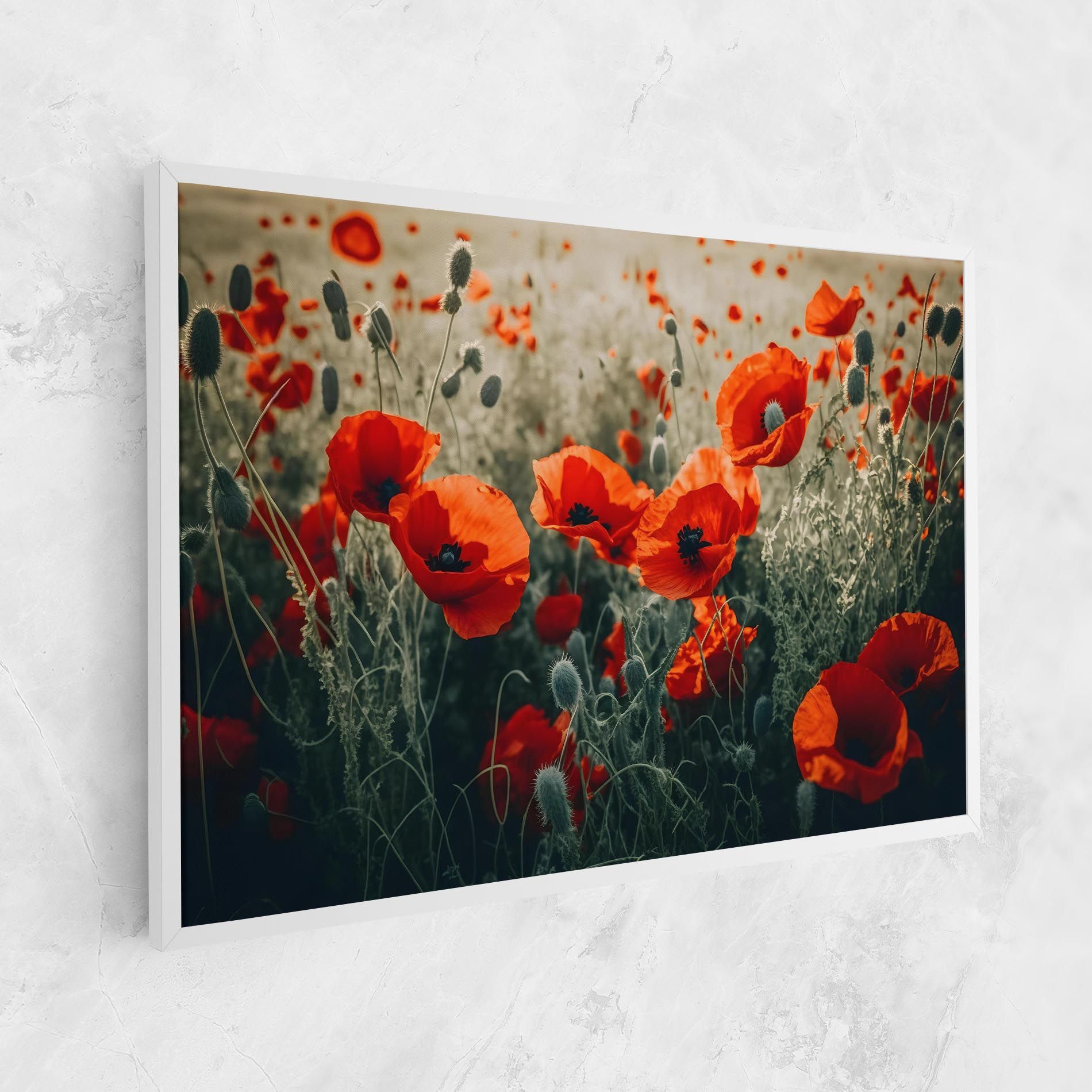 Poppy Grass Field mockup 1