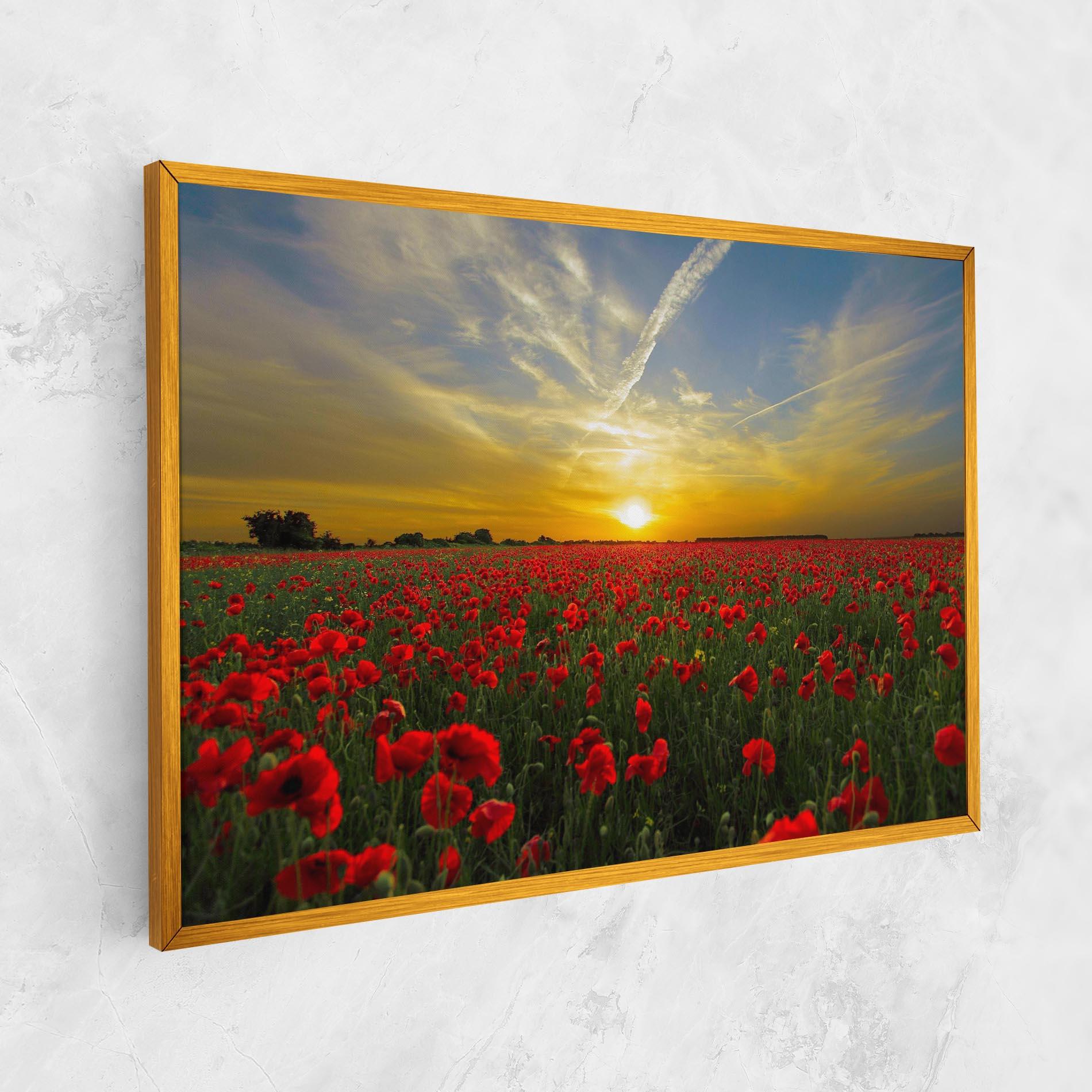 Vászonkép Poppies Sunset mockup 1