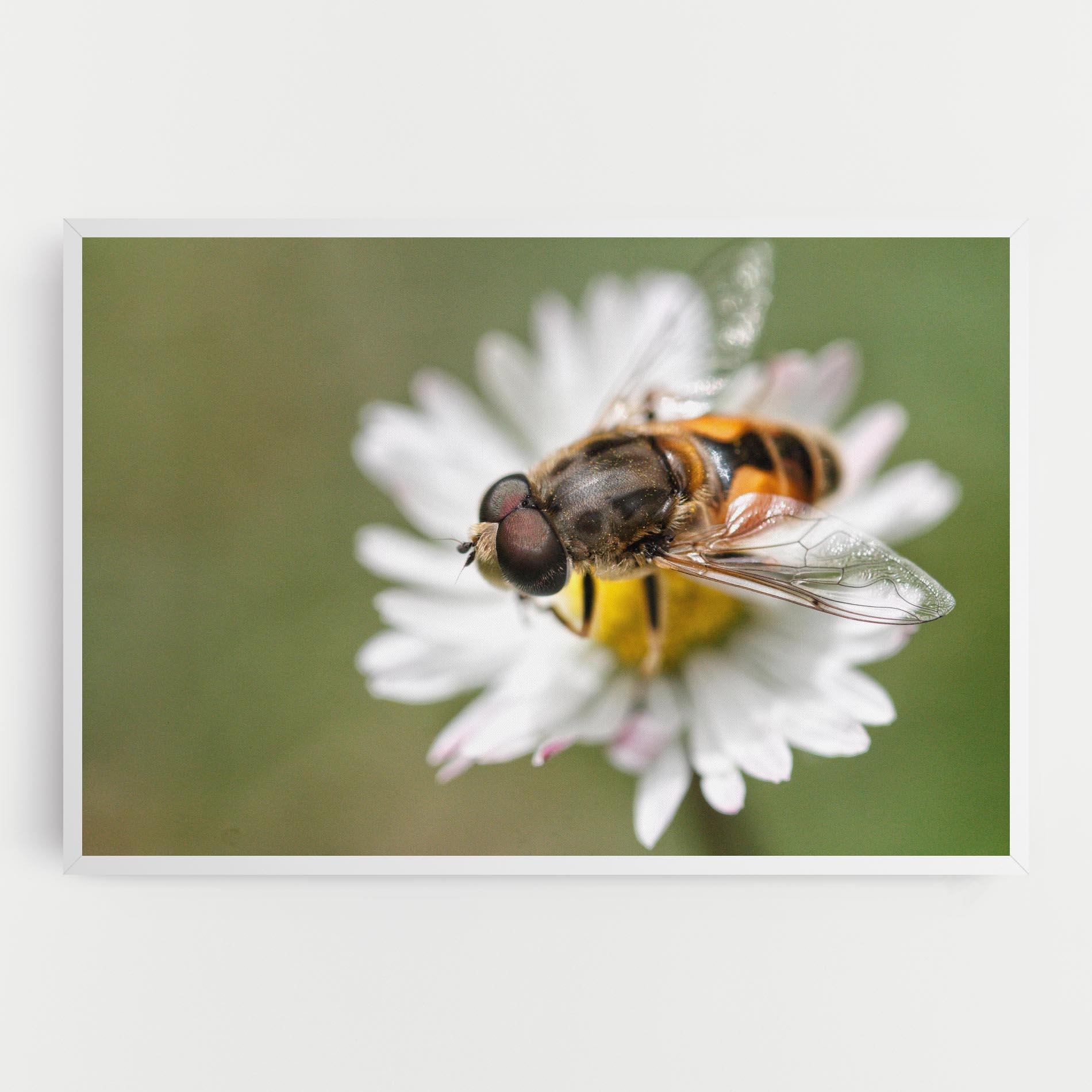 Vászonkép Bee On Small Daisy mockup 0