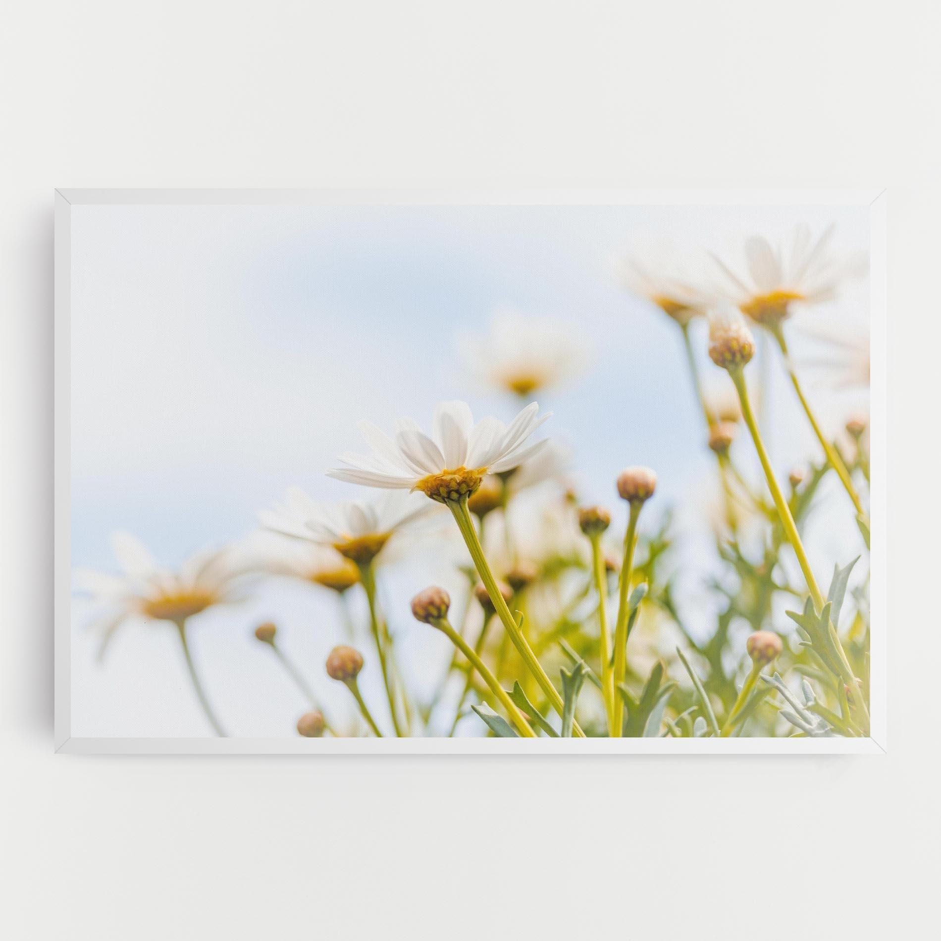 Vászonkép Dreamy Daisy mockup 0