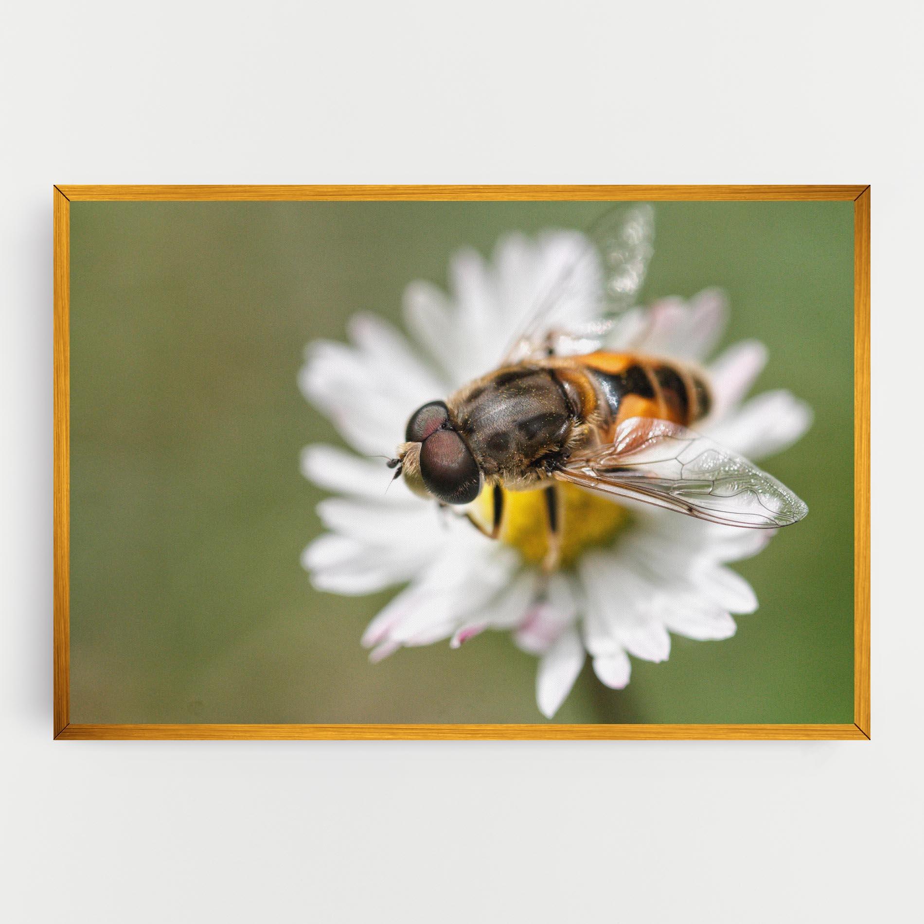 Vászonkép Bee On Small Daisy mockup 0