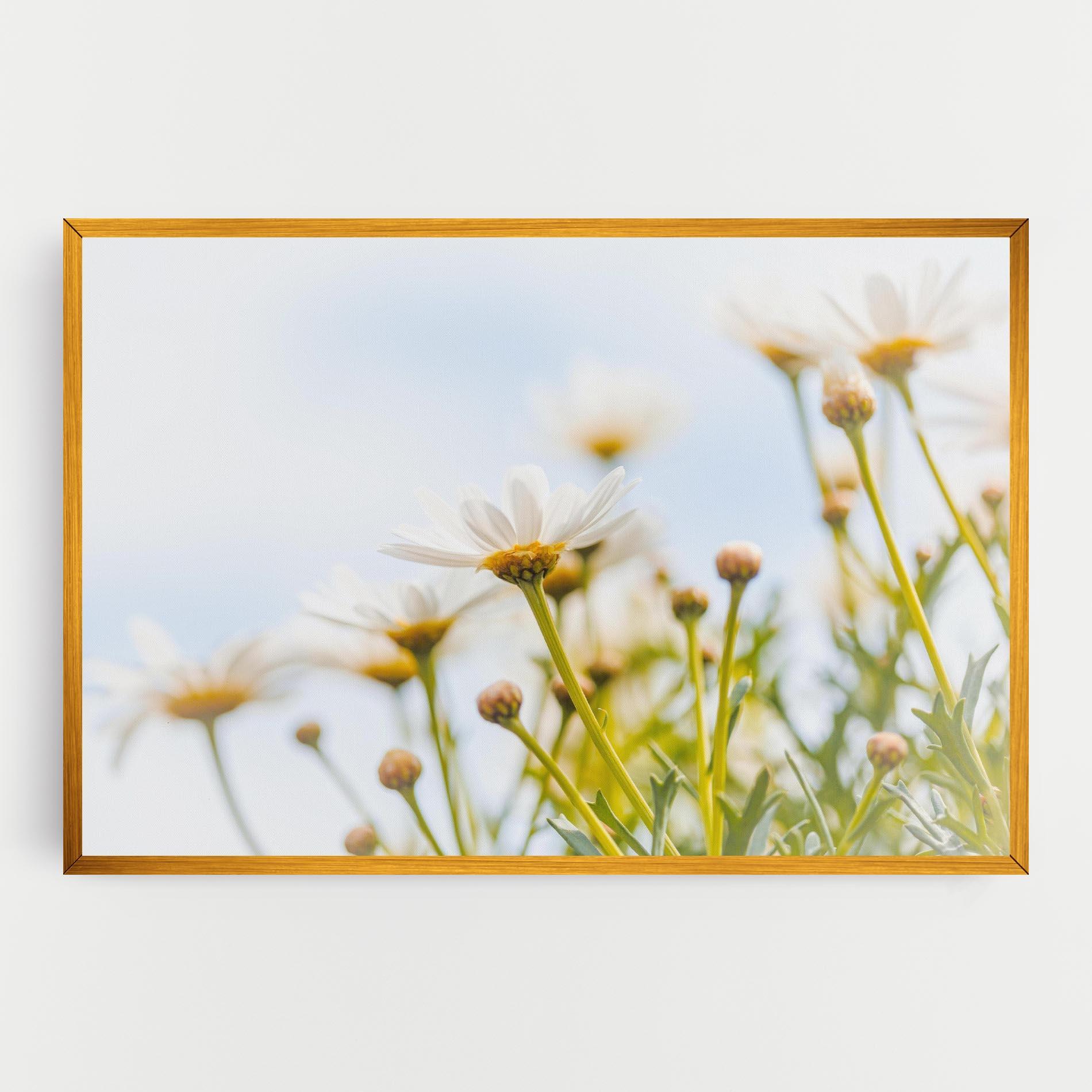 Vászonkép Dreamy Daisy mockup 0
