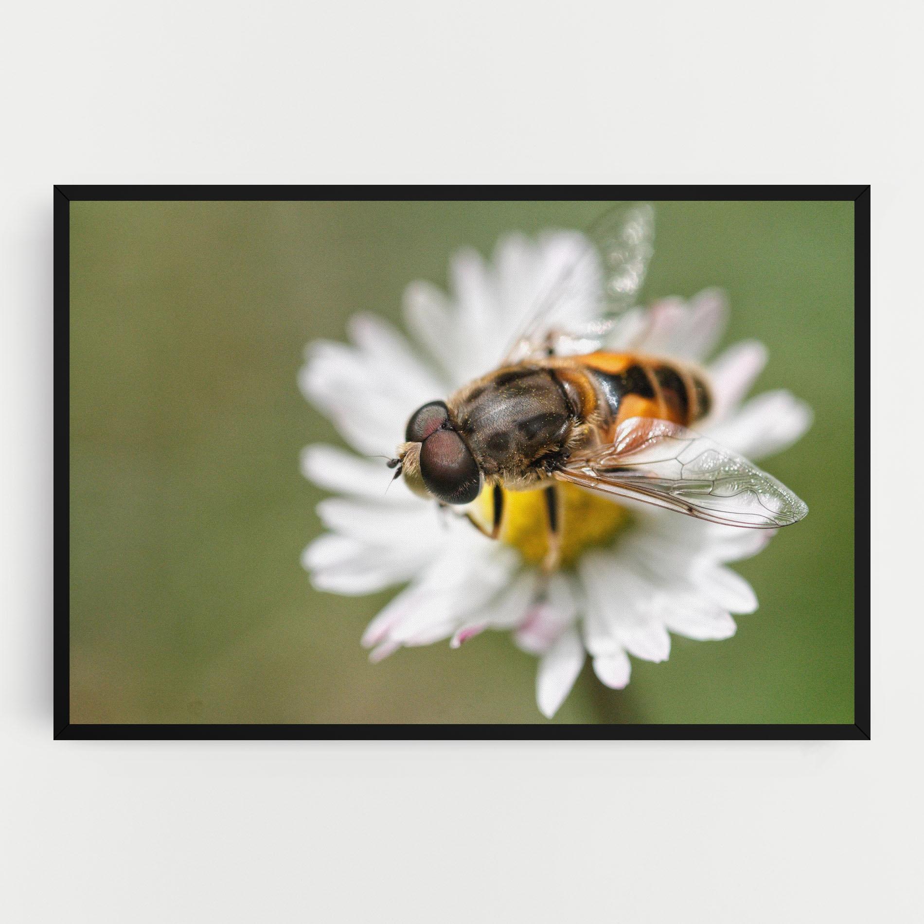 Vászonkép Bee On Small Daisy mockup 0