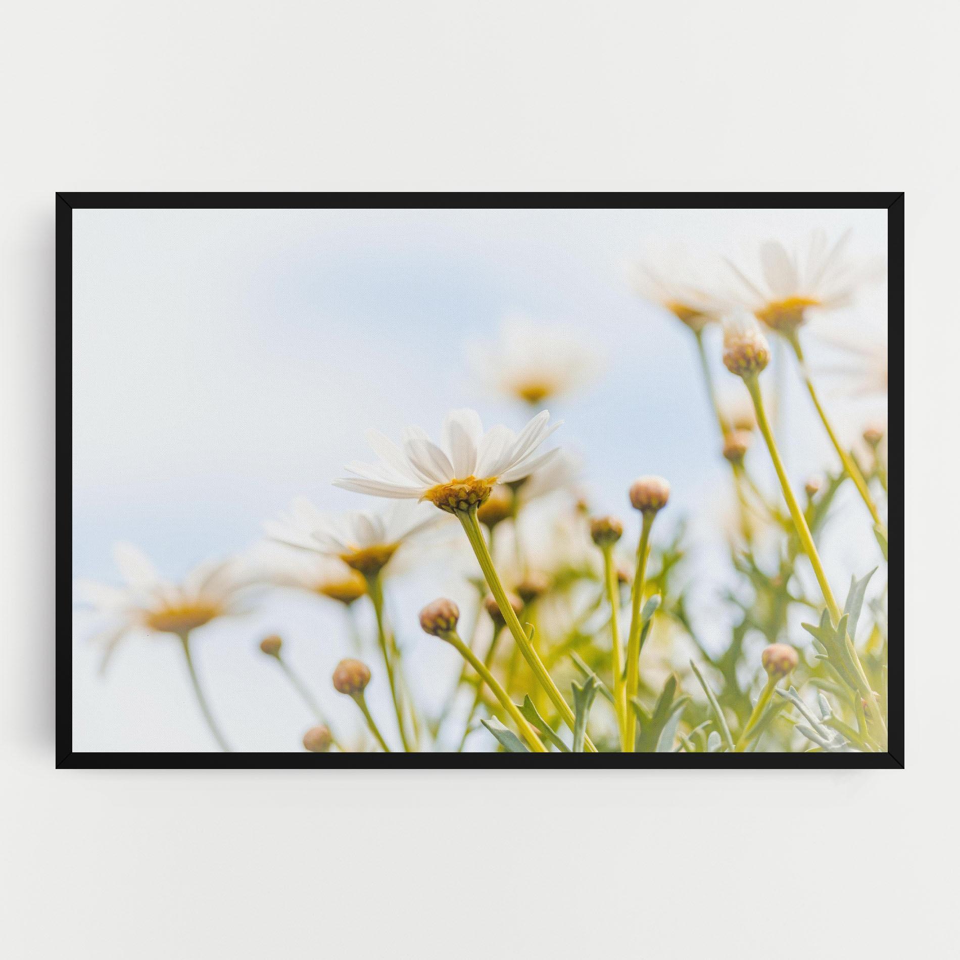 Vászonkép Dreamy Daisy mockup 0