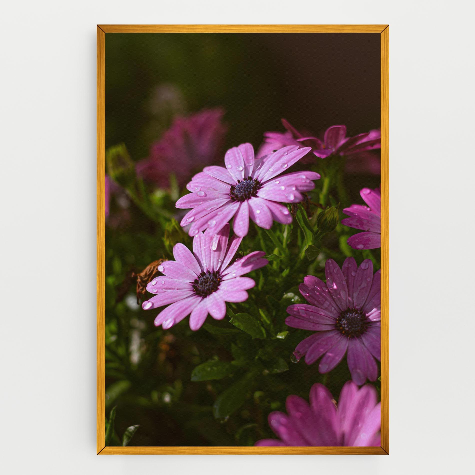 Vászonkép Purple Daisy mockup 0