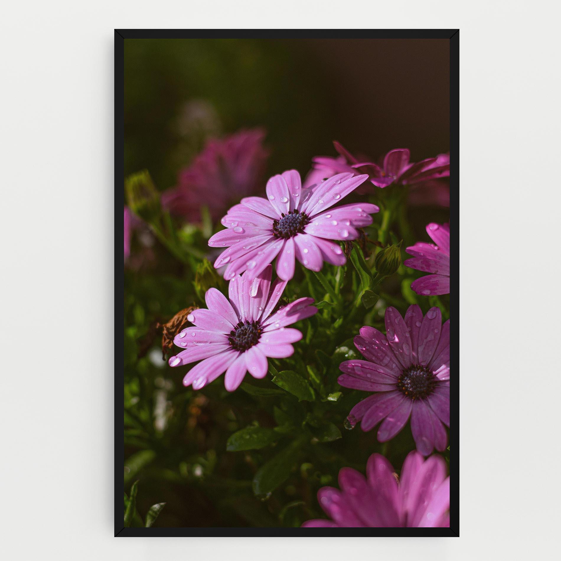 Vászonkép Purple Daisy mockup 0