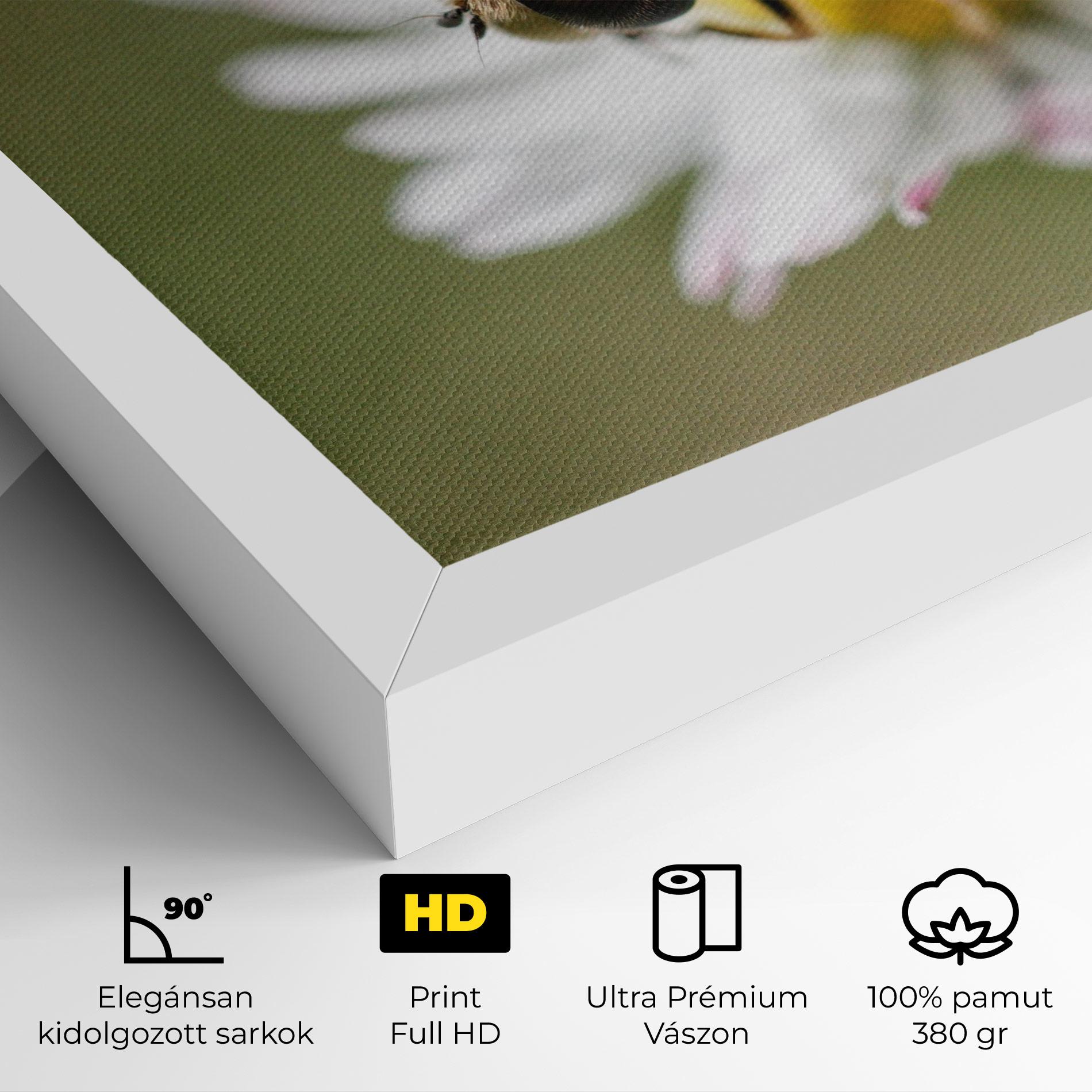 Vászonkép Bee On Small Daisy mockup 4