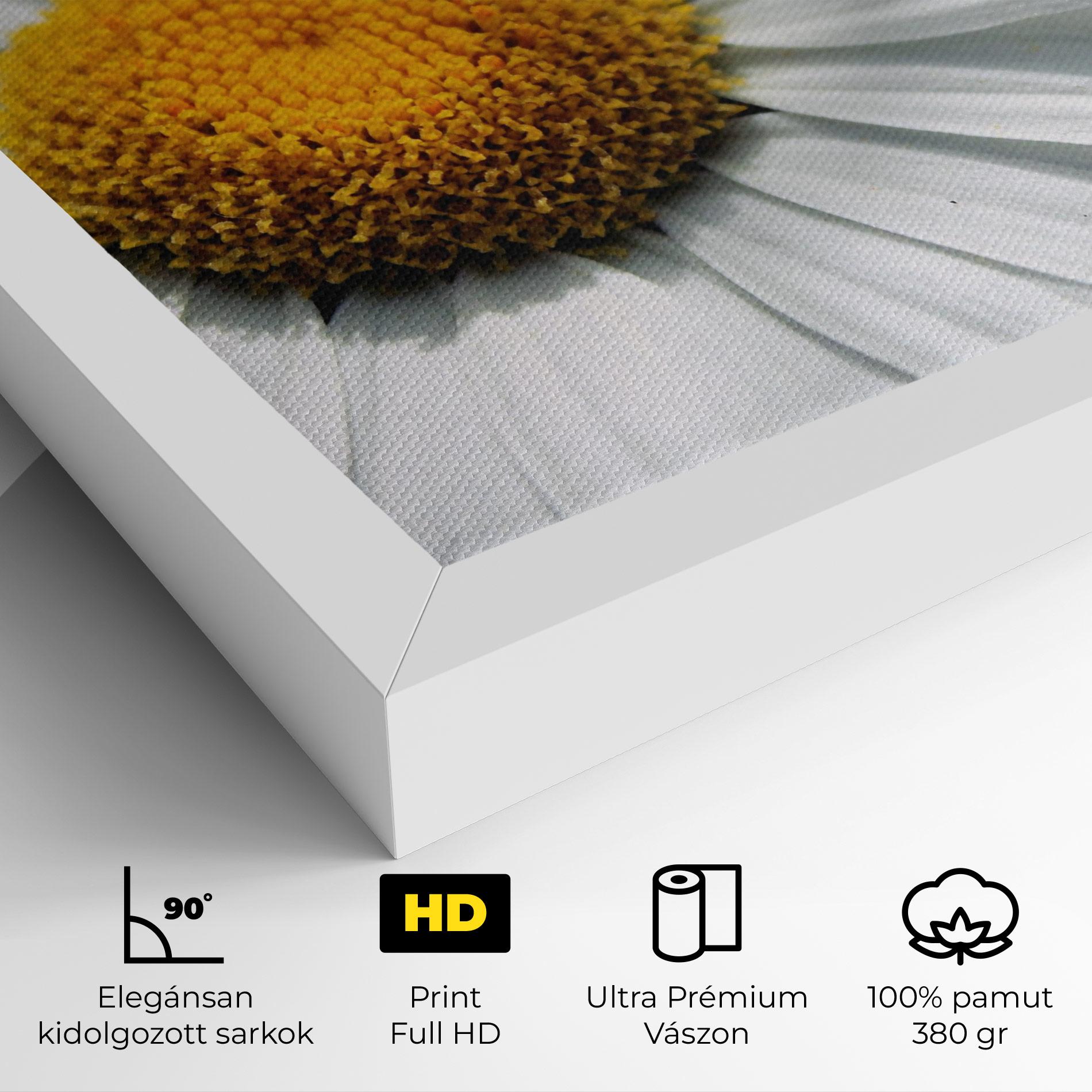 Vászonkép Big Daisies mockup 4