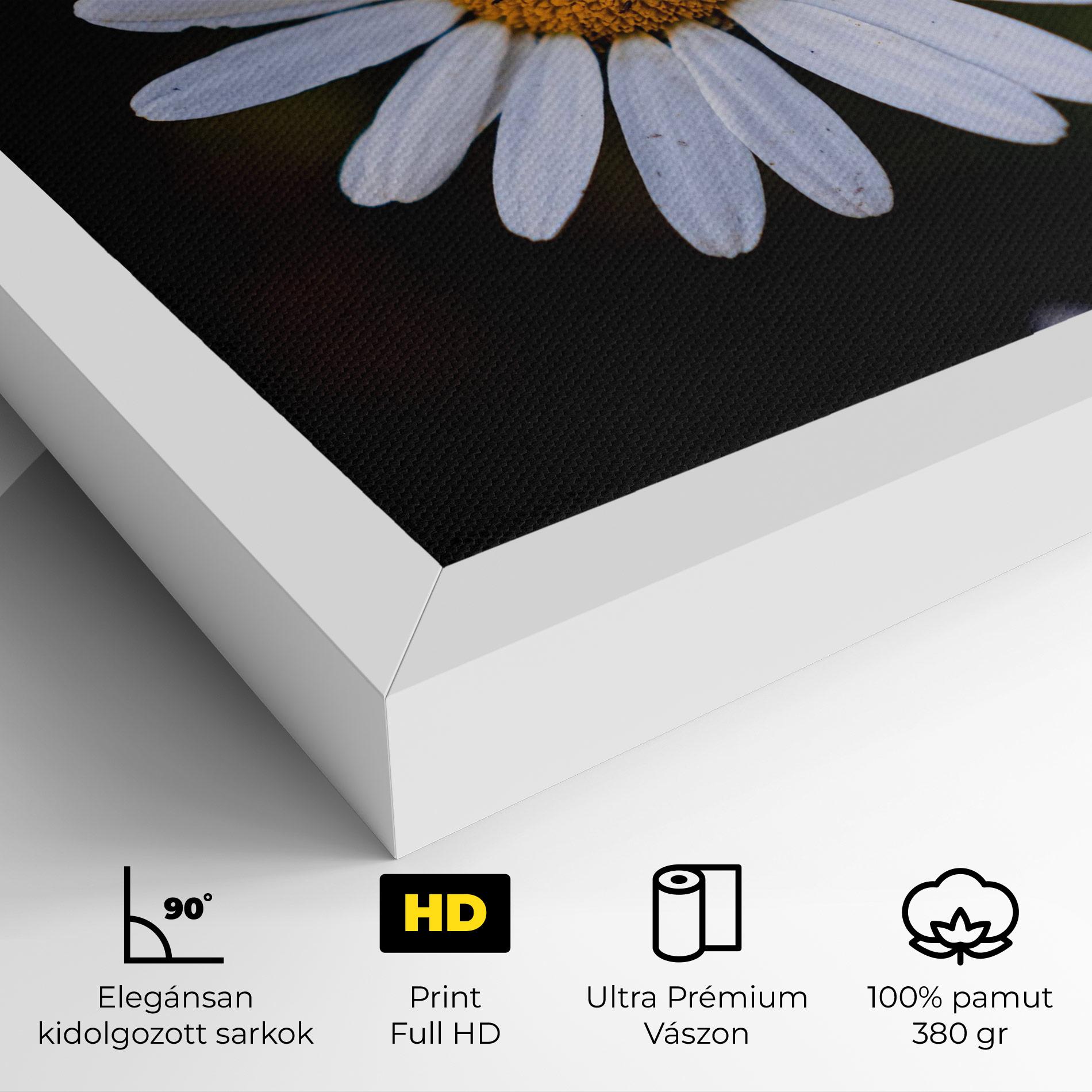 Vászonkép Big Yellow Center Daisy mockup 4