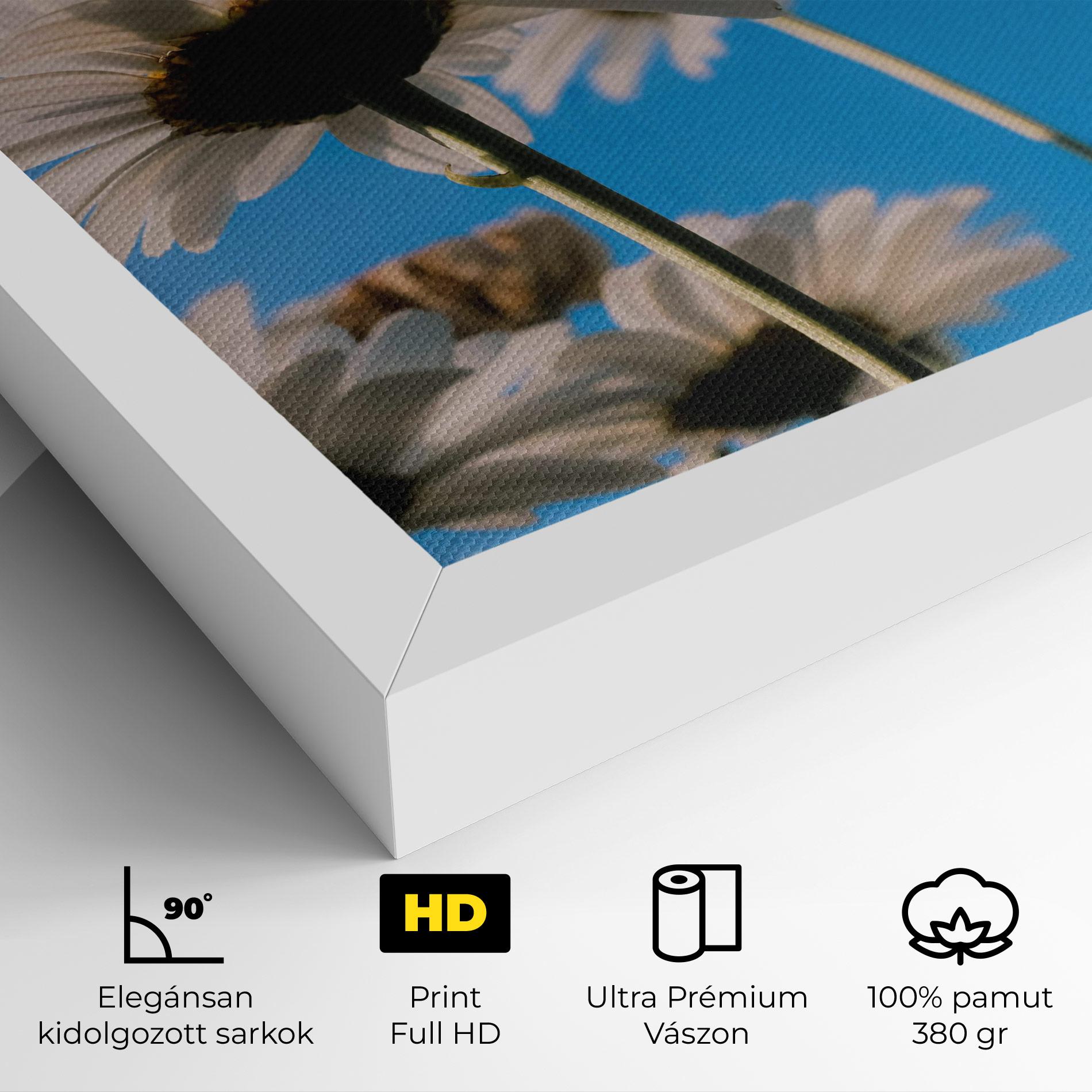 Vászonkép Blue Sky Daisy mockup 4