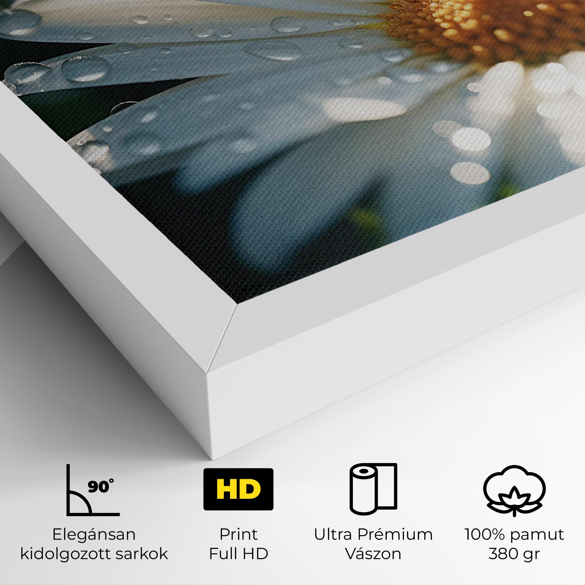 Vászonkép Daisy After Rain Close Up mockup 4