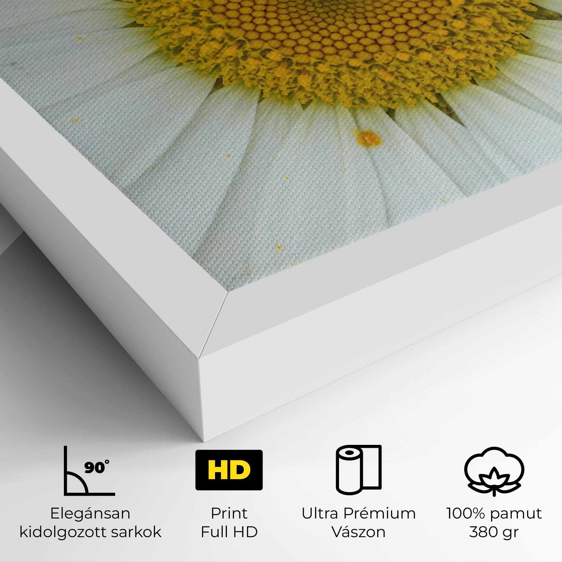 Vászonkép Daisy Close Up mockup 4