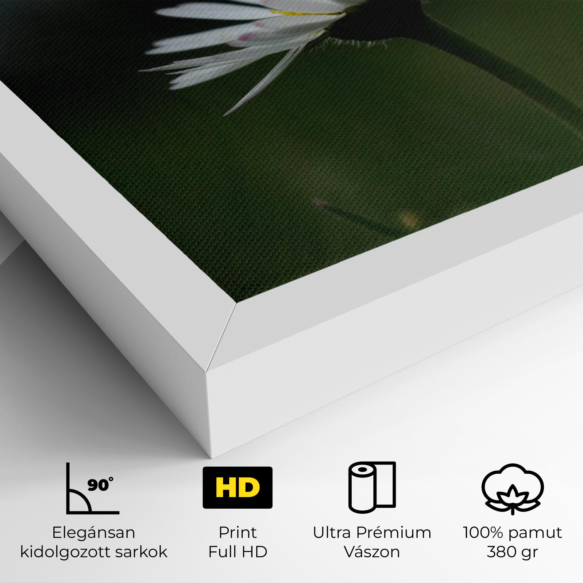 Vászonkép Garden Daisy mockup 4